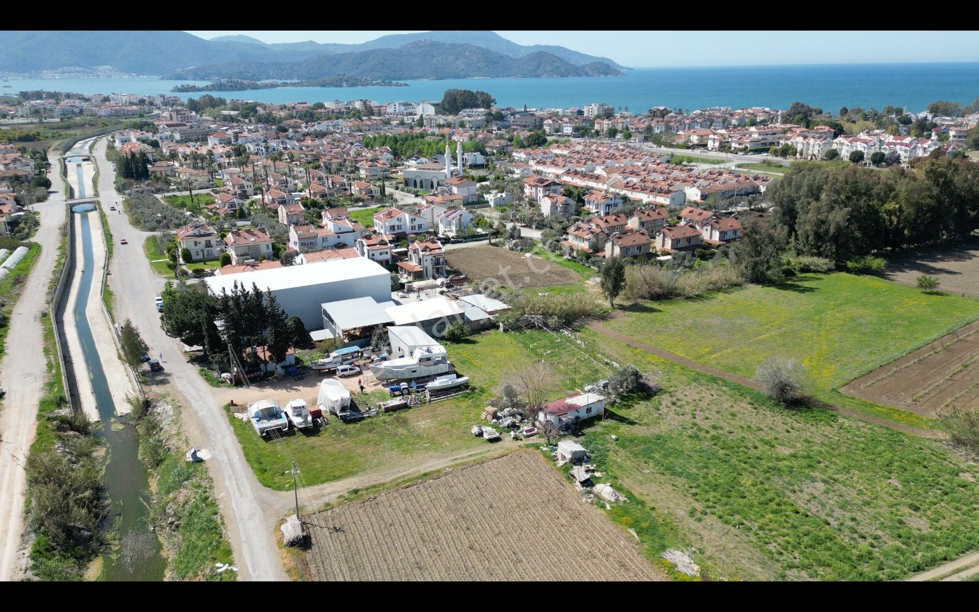 Fethiye Foça Satılık Tarla Goldhouse Dan Satılık Çalış Plajına 800 M Mesafede 1366 M2 Tarla