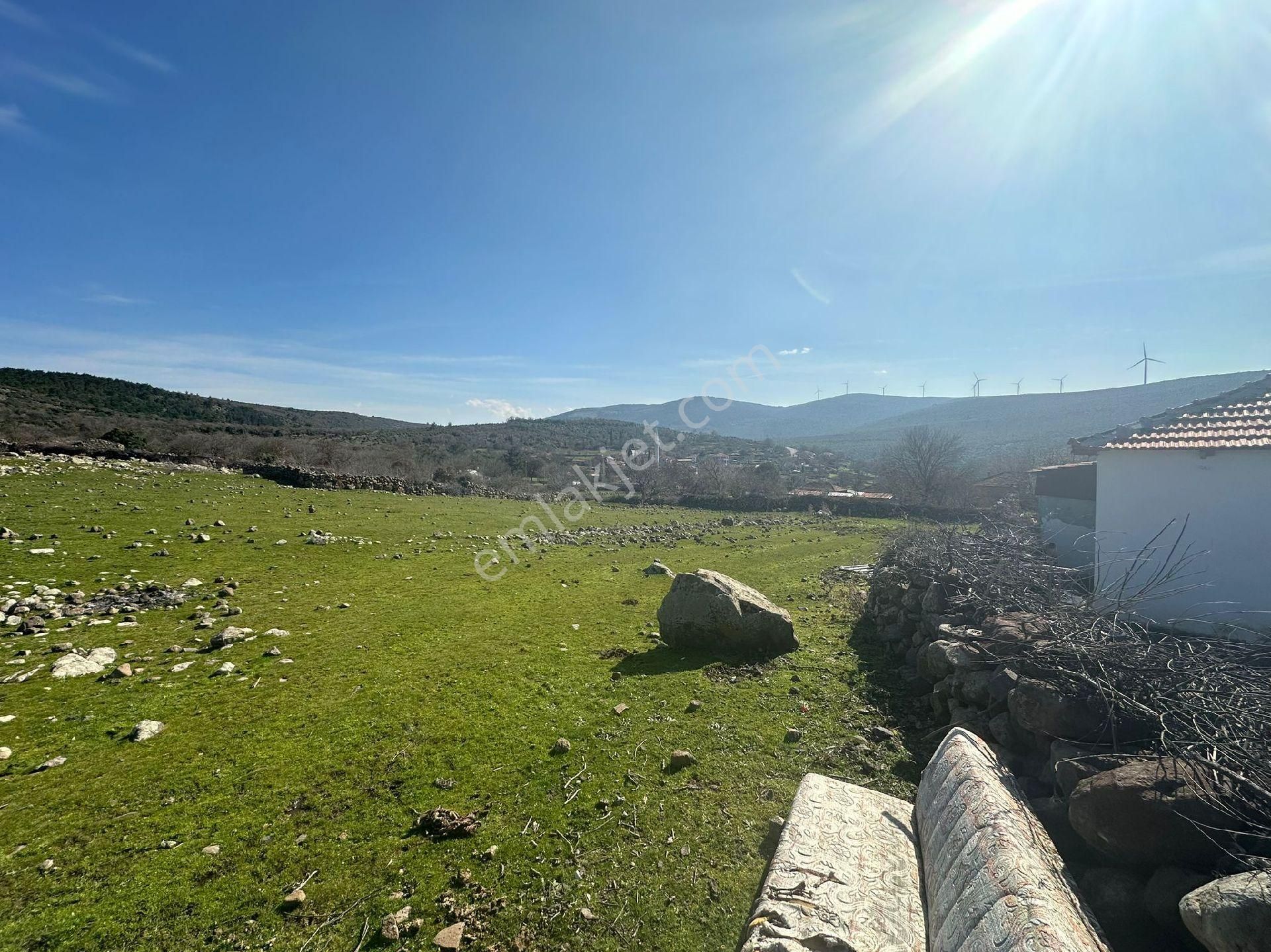 Bergama Öksüzler Satılık Bağ & Bahçe Satılık müstakiltapu bahçe