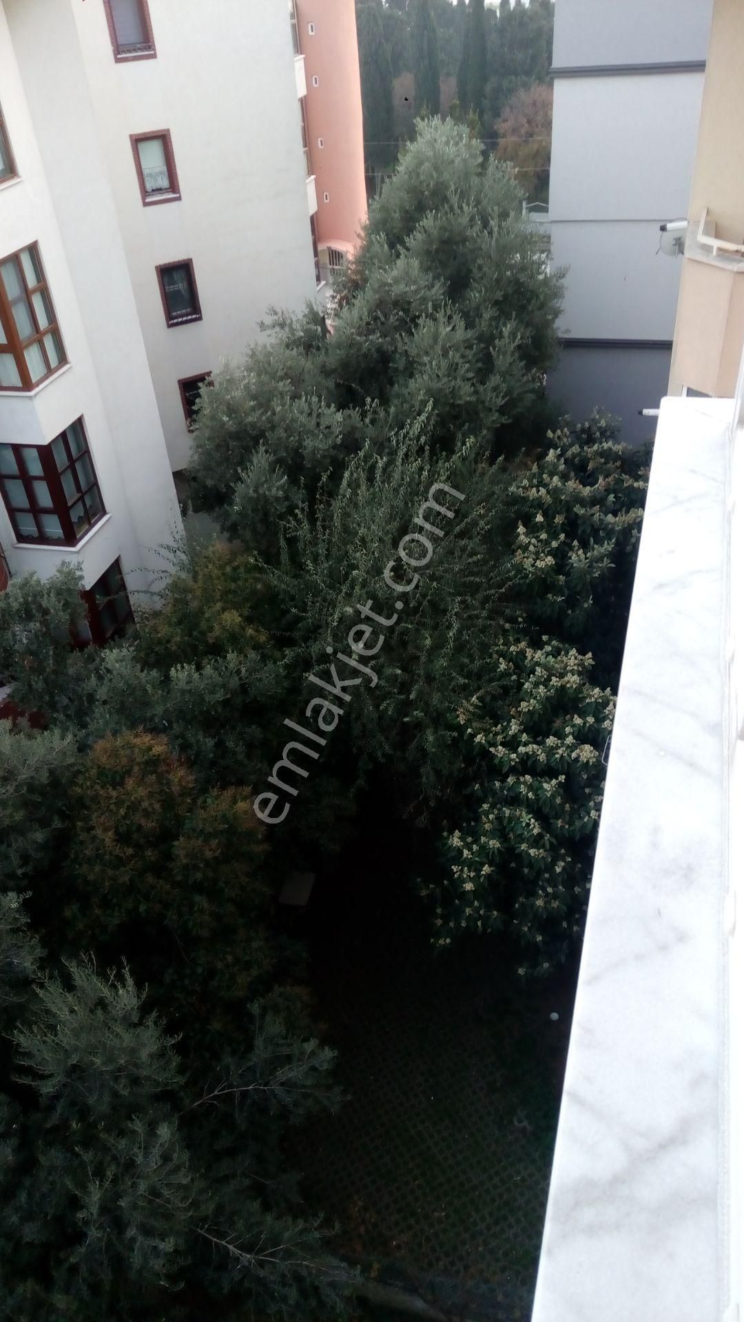 Sahibinden Kiralık Daire. Pendik İstanbul. - Görsel 13