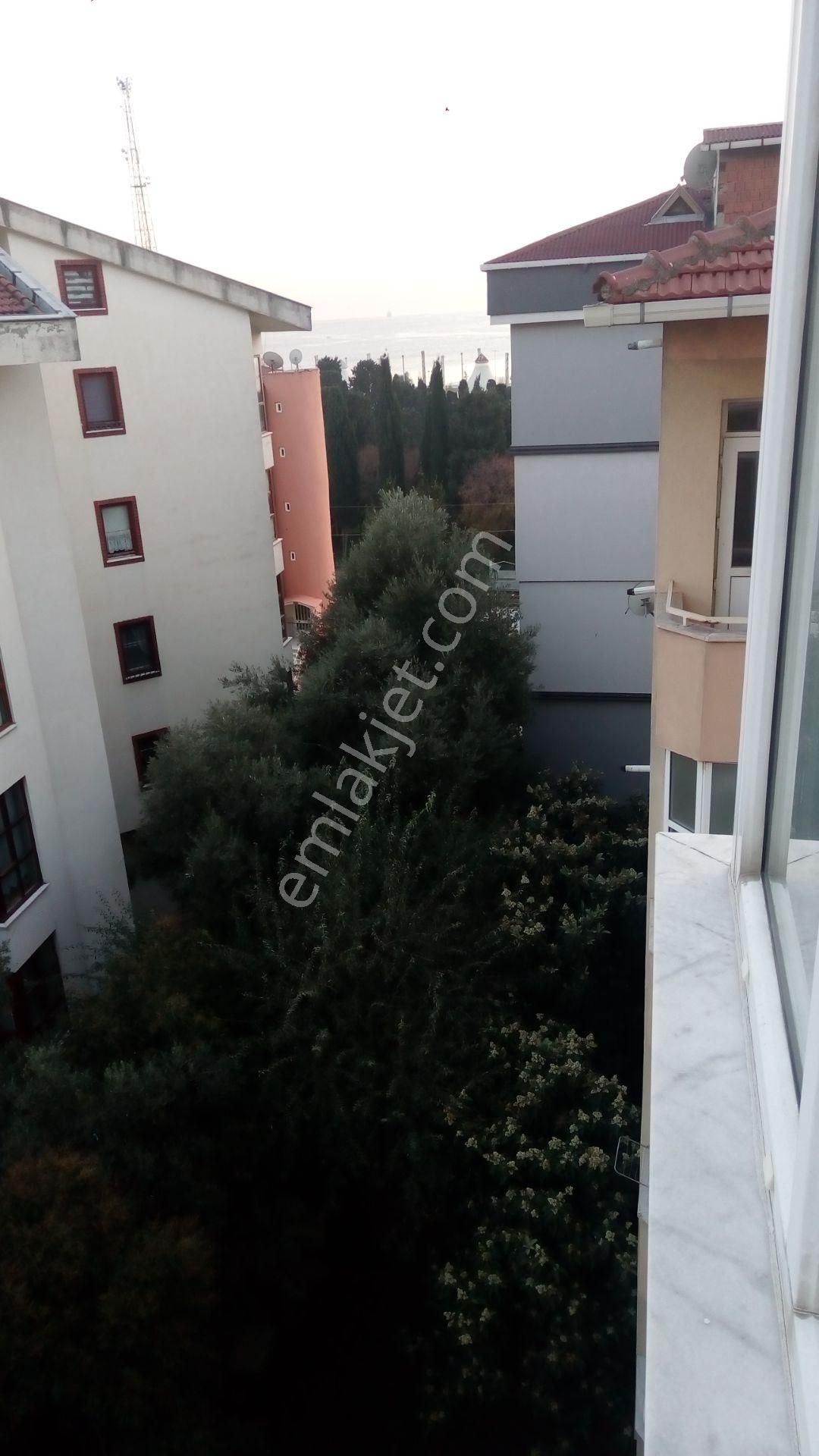 Sahibinden Kiralık Daire. Pendik İstanbul. - Görsel 14