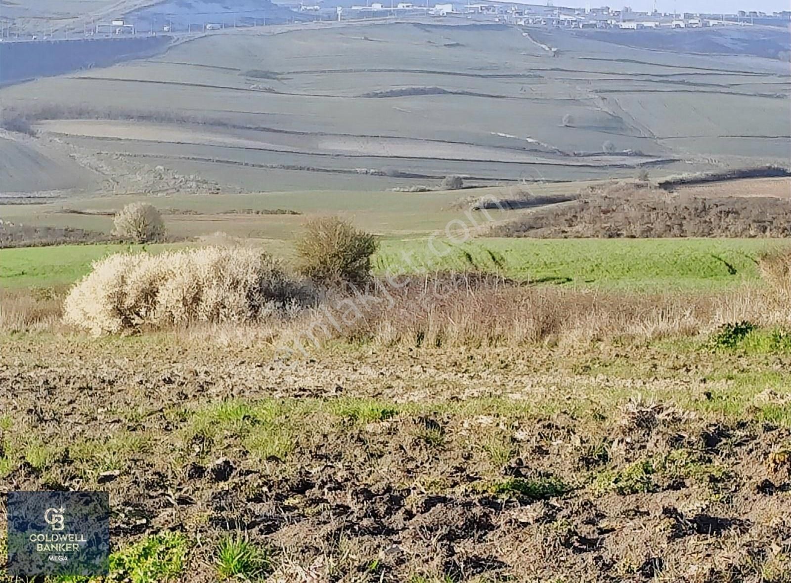 Çatalca Nakkaş Satılık Tarla NAKKAŞ TA 280 M2 YÜKSEK KONUMDA SATILIK