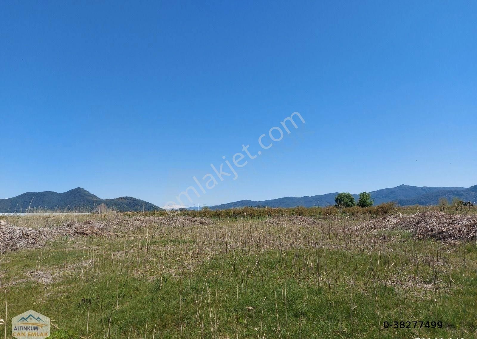 Muğla Satılık Tarla 8240 M2 Göle Yakın Yatırımlık - Görsel 12