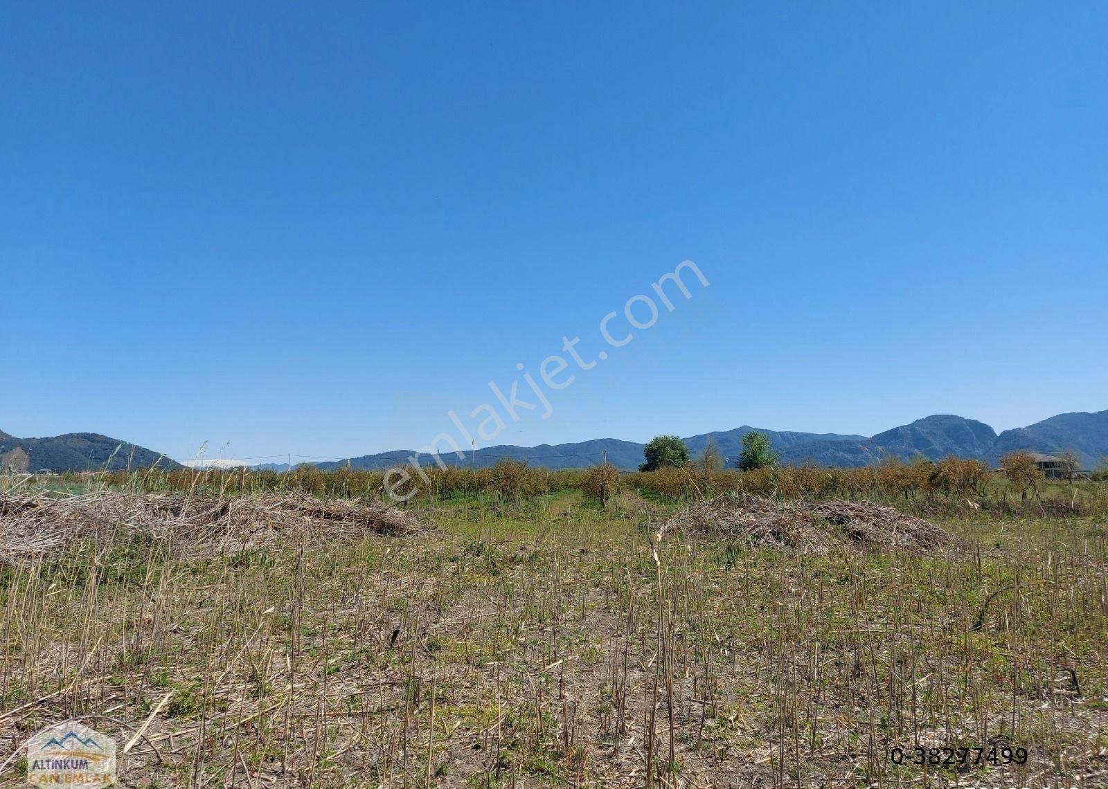 Muğla Satılık Tarla 8240 M2 Göle Yakın Yatırımlık - Görsel 3