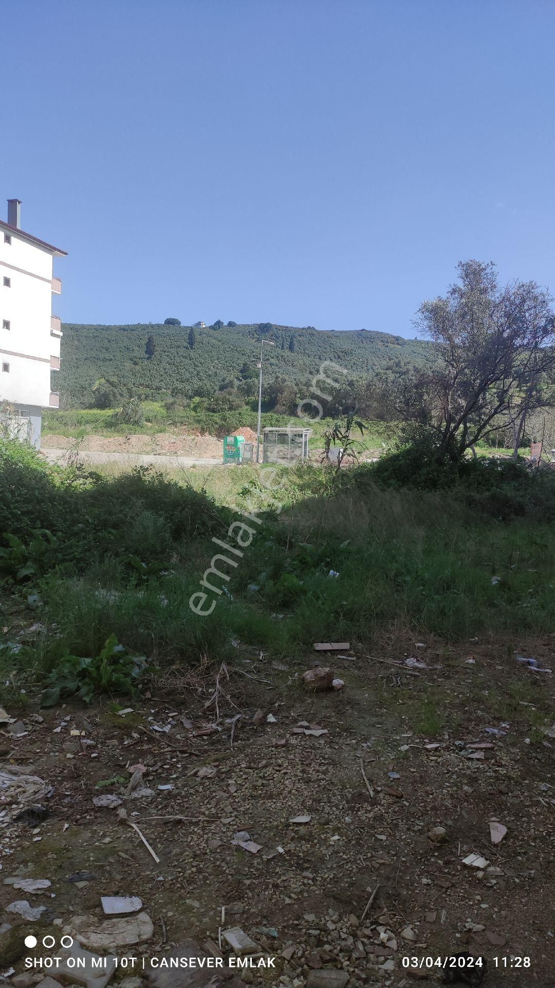 Bursa Gemlik Kumlada Daireye Cevrilebilir Satılık Garaj Araç Takasina Açıktır. - Görsel 4