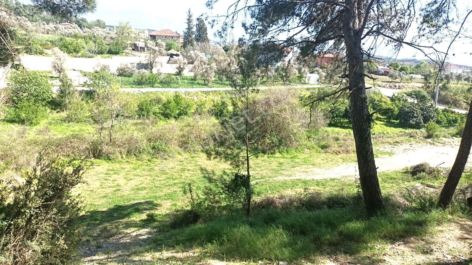 Seydikemer Gerişburnu Satılık Tarla Goldhouse Dan Satılık Kat Karşılığı Seydikemer De 20/40 İmarlı Arsa