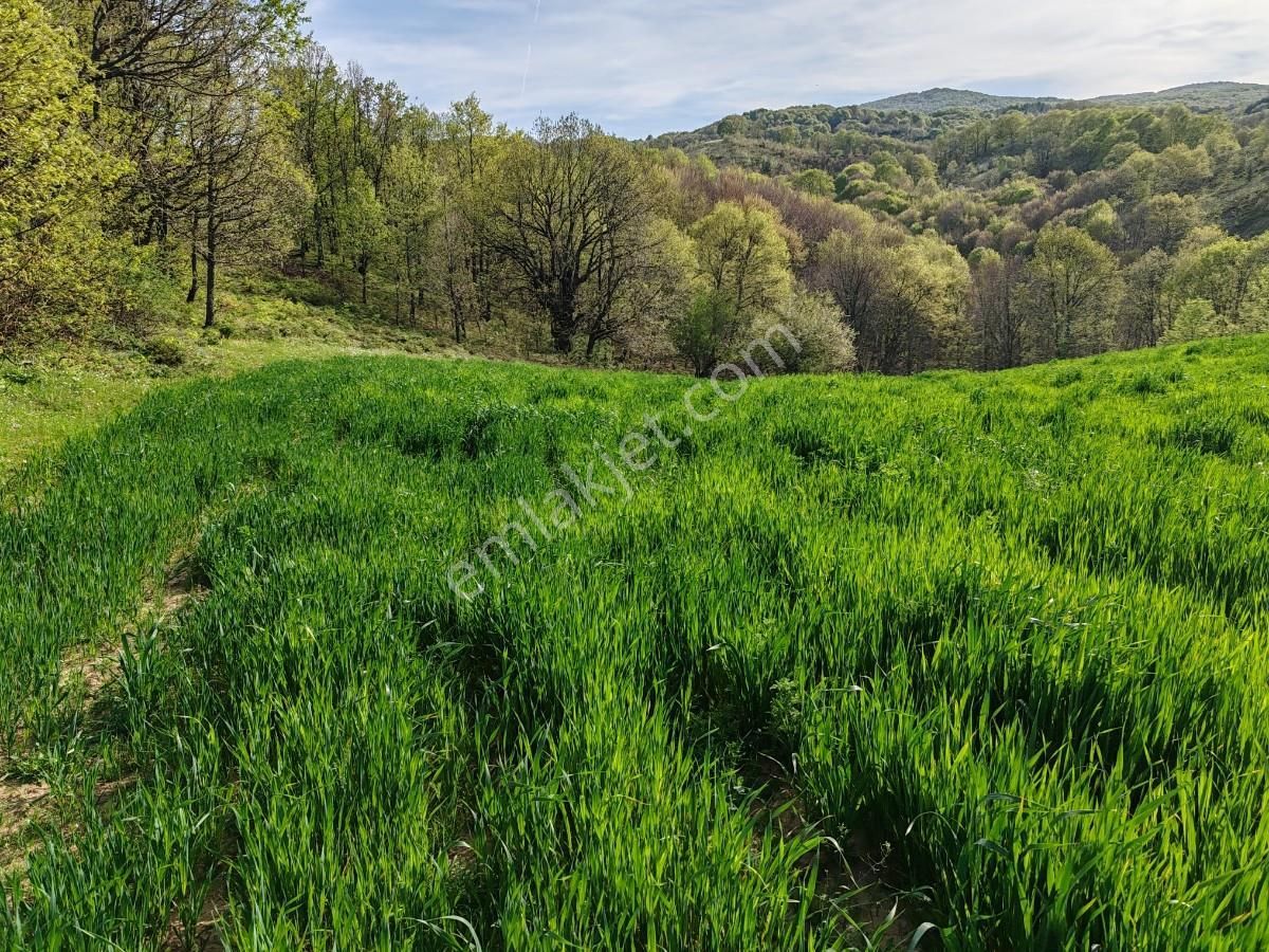 Gönen Şaroluk Satılık Tarla 3.507 M2 Gönen Resmi Yolu Var Yatırımlık Bağ Bahçe Hobi Bahçesi