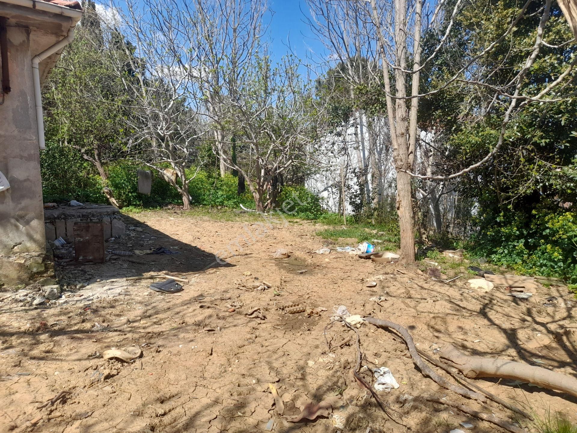 Beykoz Paşabahçede 746 M2 Arsa İçerisinde Satılık Müstakil Ev - Görsel 18