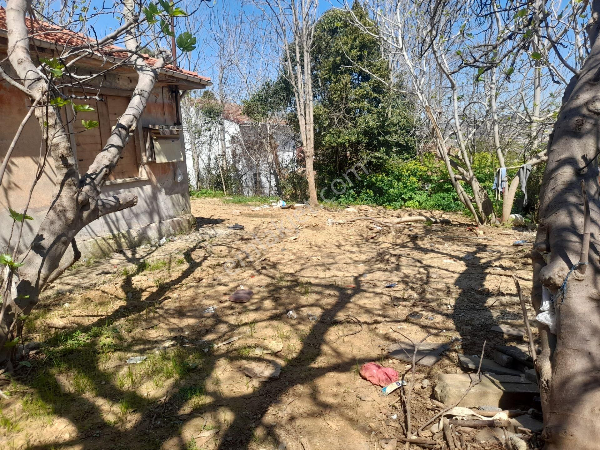 Beykoz Paşabahçede 746 M2 Arsa İçerisinde Satılık Müstakil Ev - Görsel 8