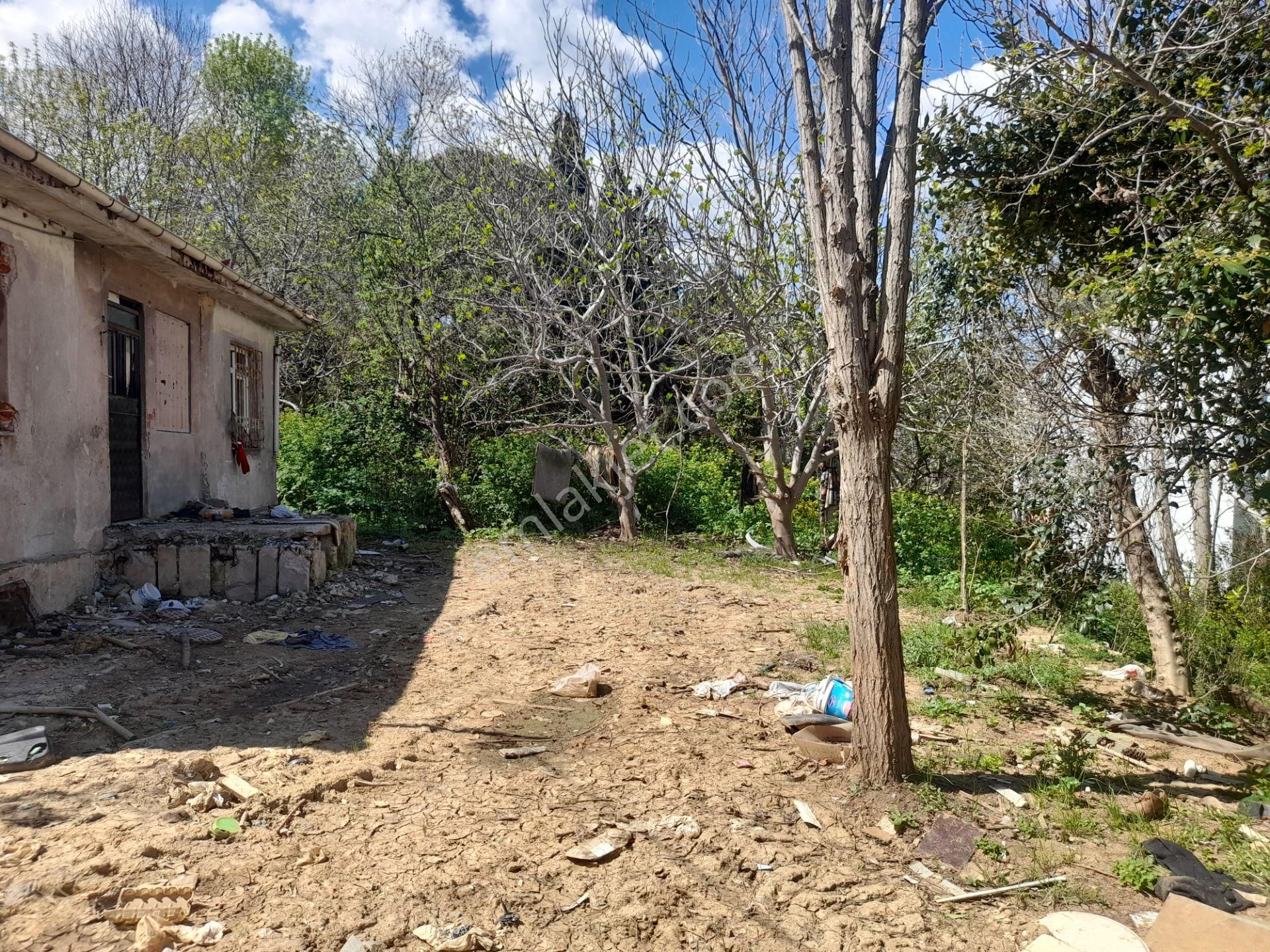 Beykoz Paşabahçede 746 M2 Arsa İçerisinde Satılık Müstakil Ev - Görsel 30