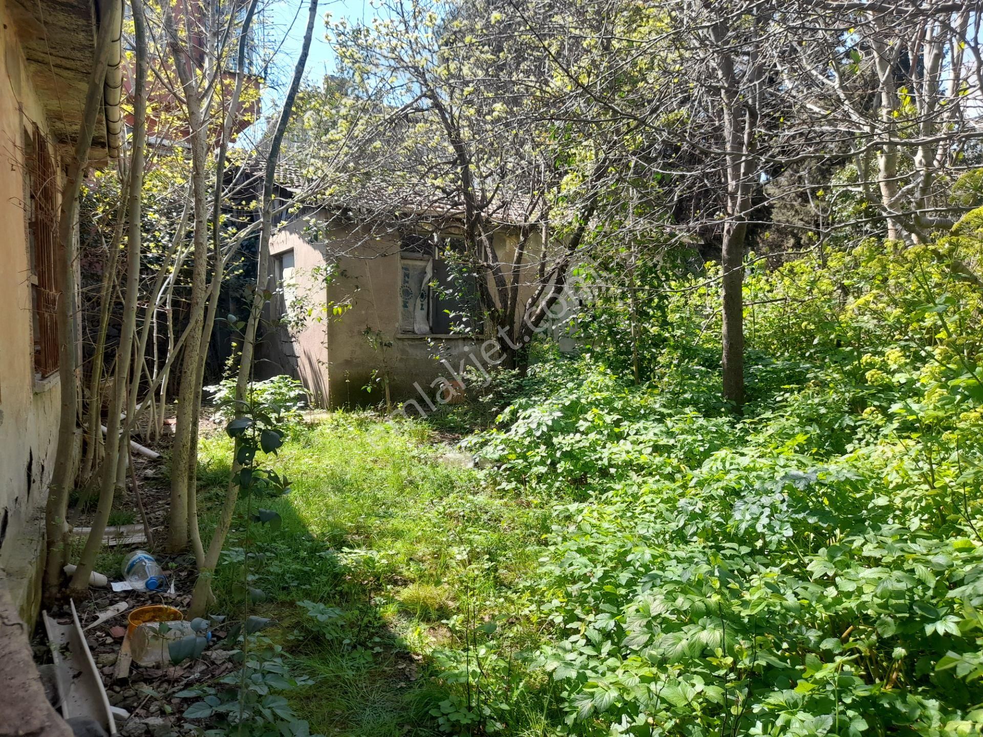 Beykoz Paşabahçede 746 M2 Arsa İçerisinde Satılık Müstakil Ev - Görsel 14