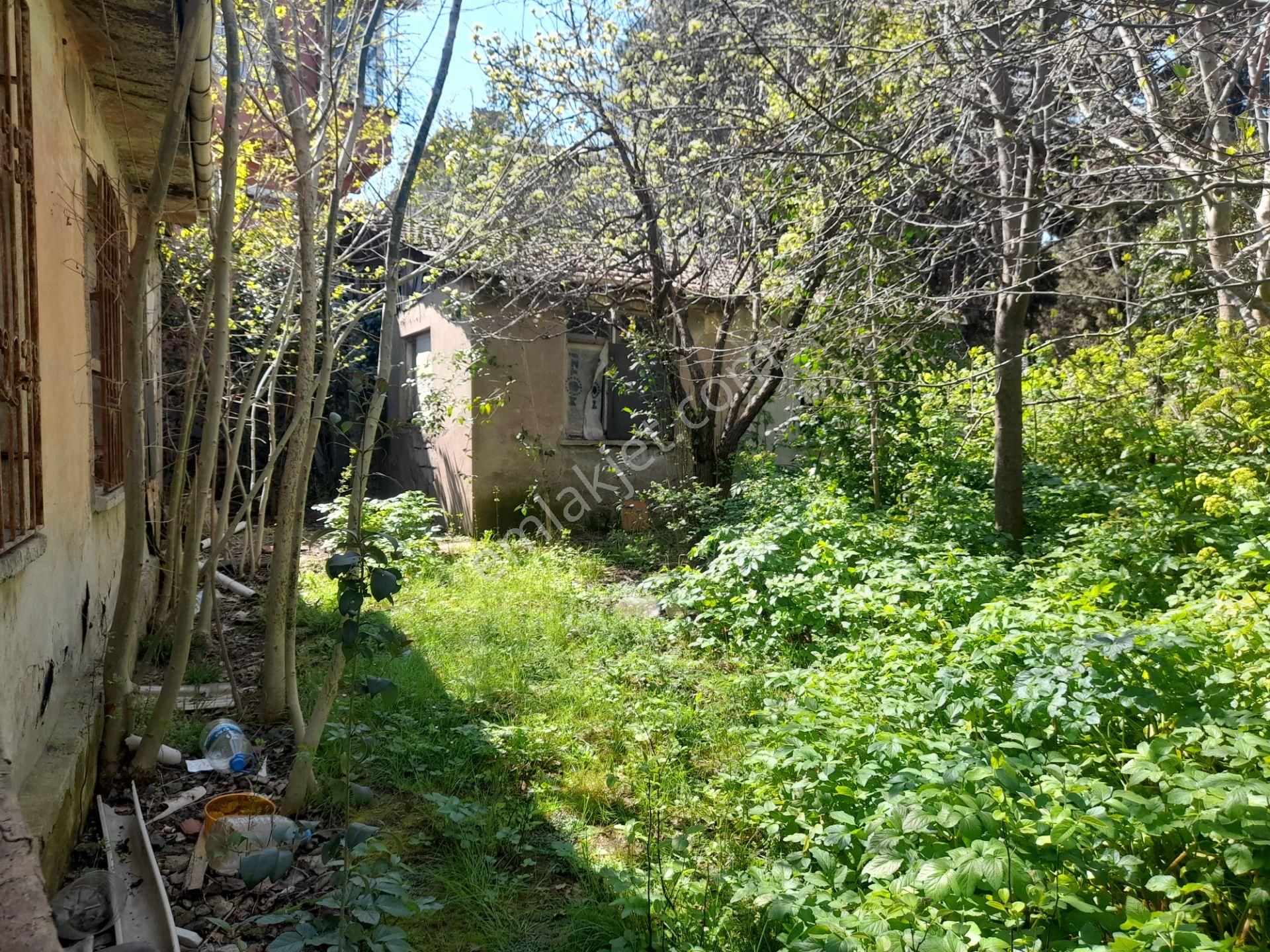 Beykoz Paşabahçede 746 M2 Arsa İçerisinde Satılık Müstakil Ev - Görsel 10