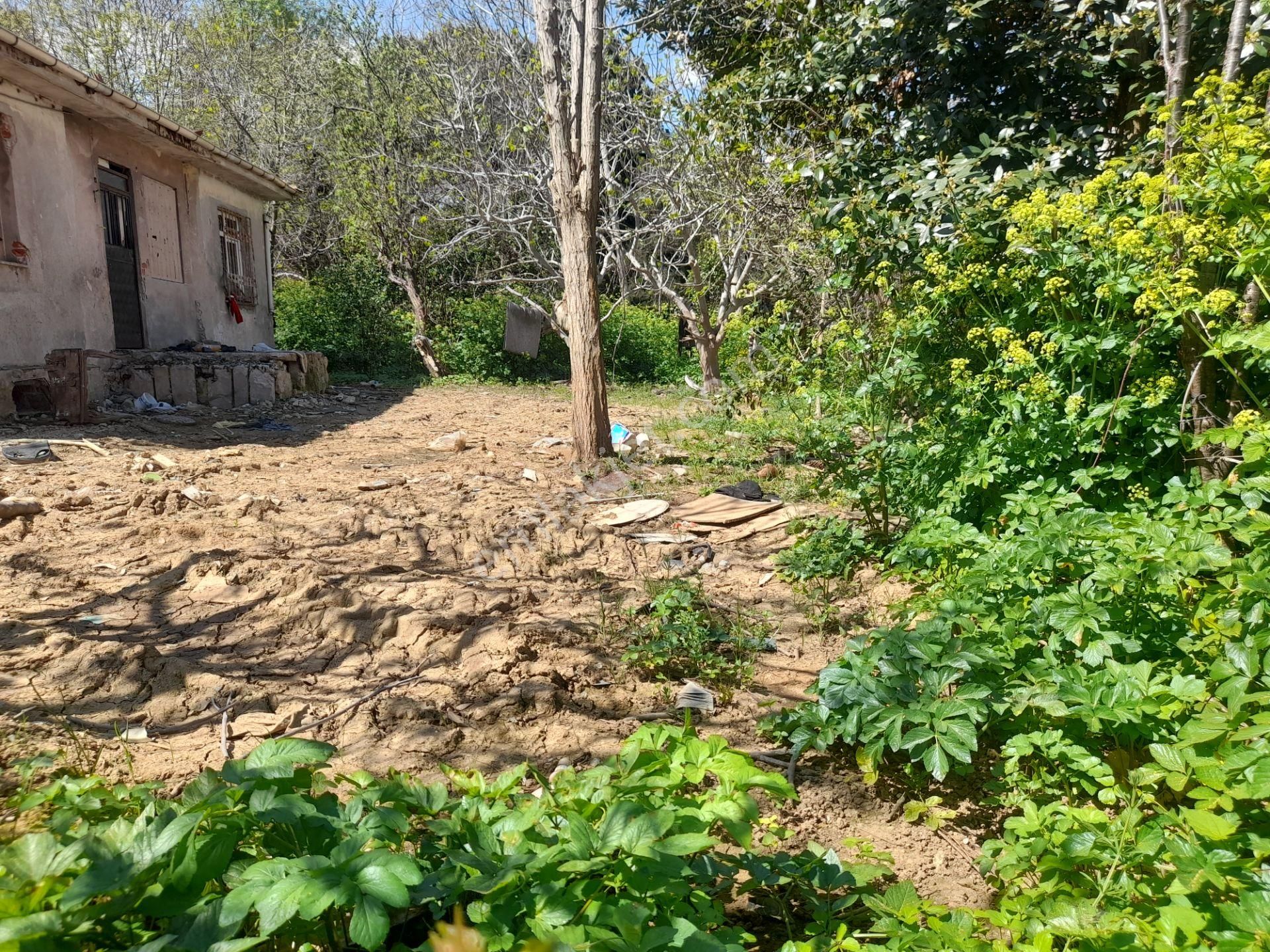 Beykoz Paşabahçede 746 M2 Arsa İçerisinde Satılık Müstakil Ev - Görsel 6