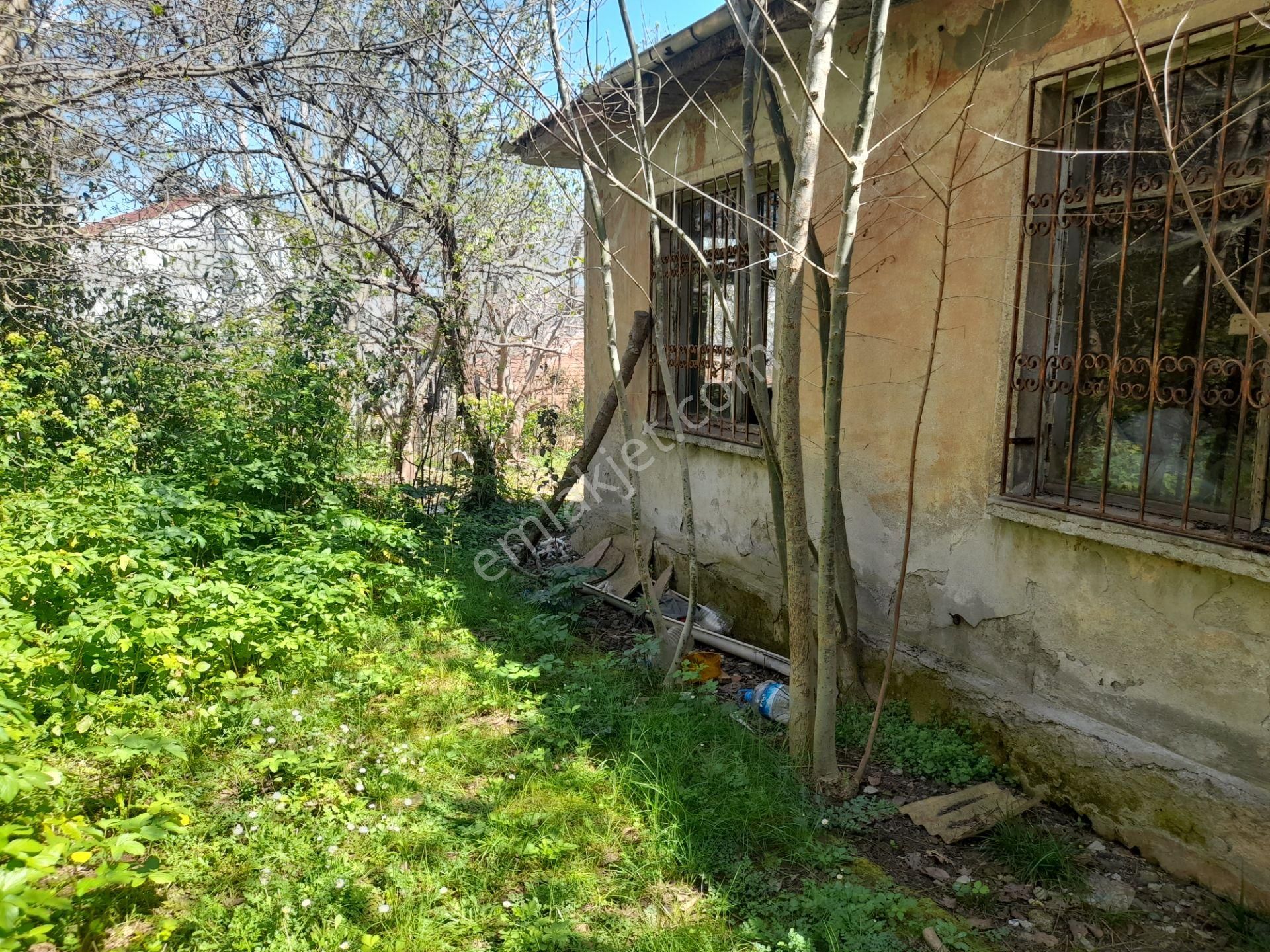 Beykoz Paşabahçede 746 M2 Arsa İçerisinde Satılık Müstakil Ev - Görsel 13