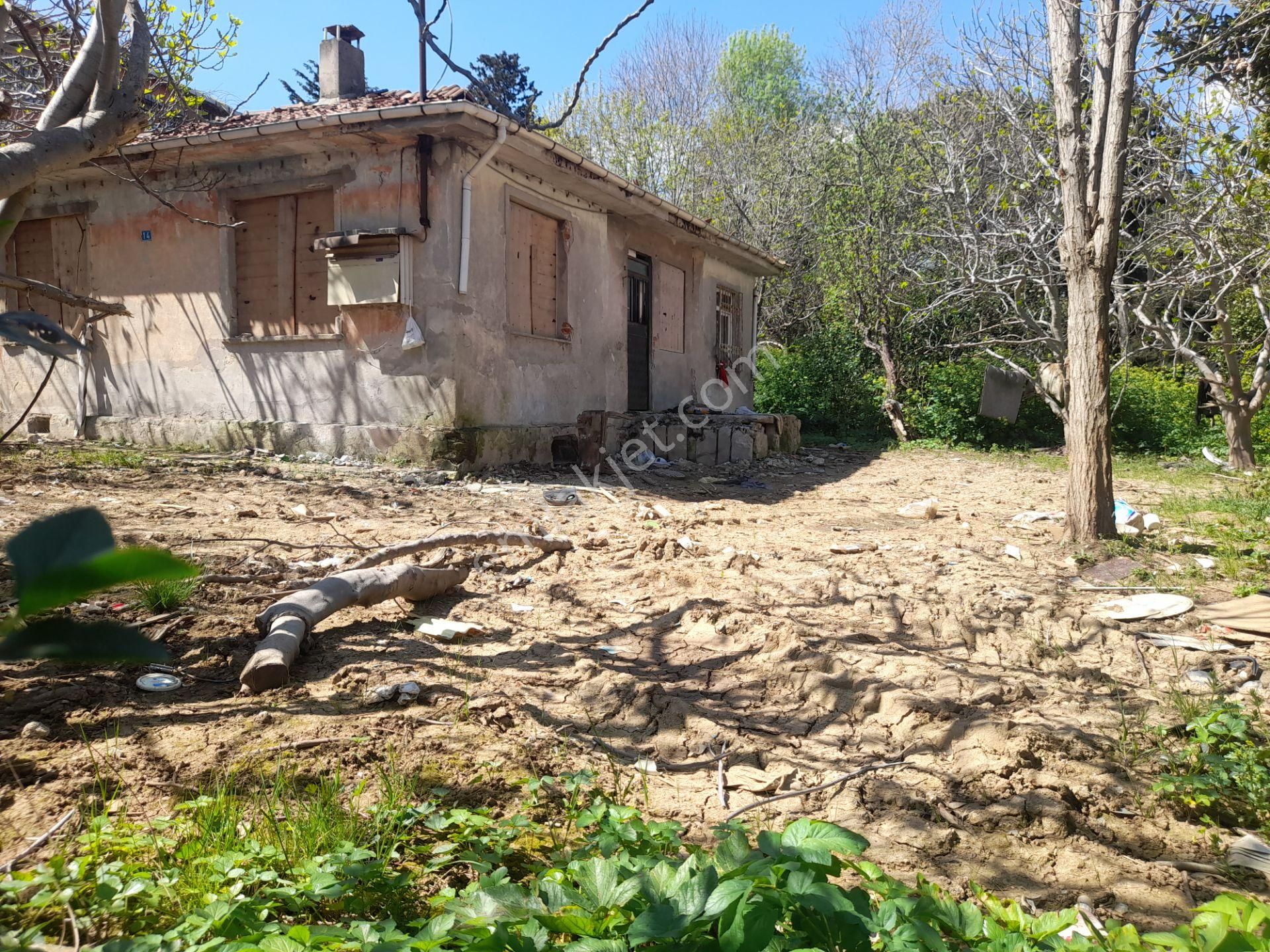 Beykoz Paşabahçede 746 M2 Arsa İçerisinde Satılık Müstakil Ev - Görsel 7