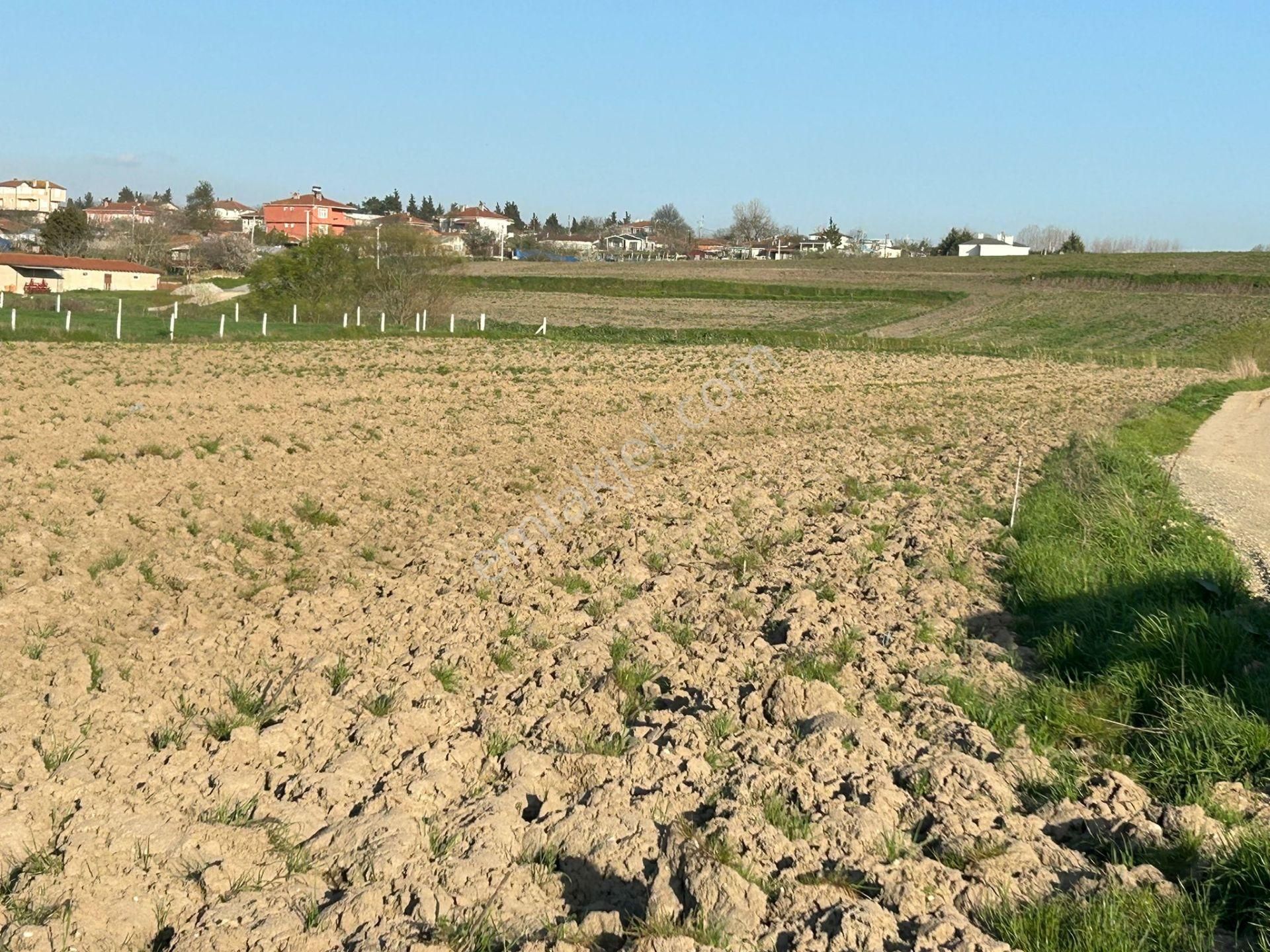 Saray Çayla Satılık Tarla Tekidağ Saray Çayla Tek Tapı 8322 M Kare