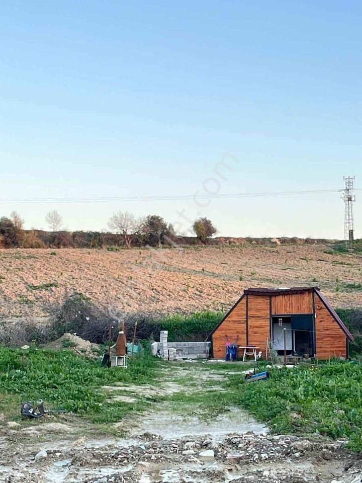 Sarıçam Kargakekeç Satılık Bağ & Bahçe  DENEN GAYRİMENKUL'DEN SARIÇAM KARGAKEKEÇ'DE SATLIK HOBİ BAHÇESİ