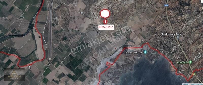 Bergama Zeytindağ Satılık Tarla AFACAN dan Zeytindağ Limana Yakın Satılık Kıymetli Arazi