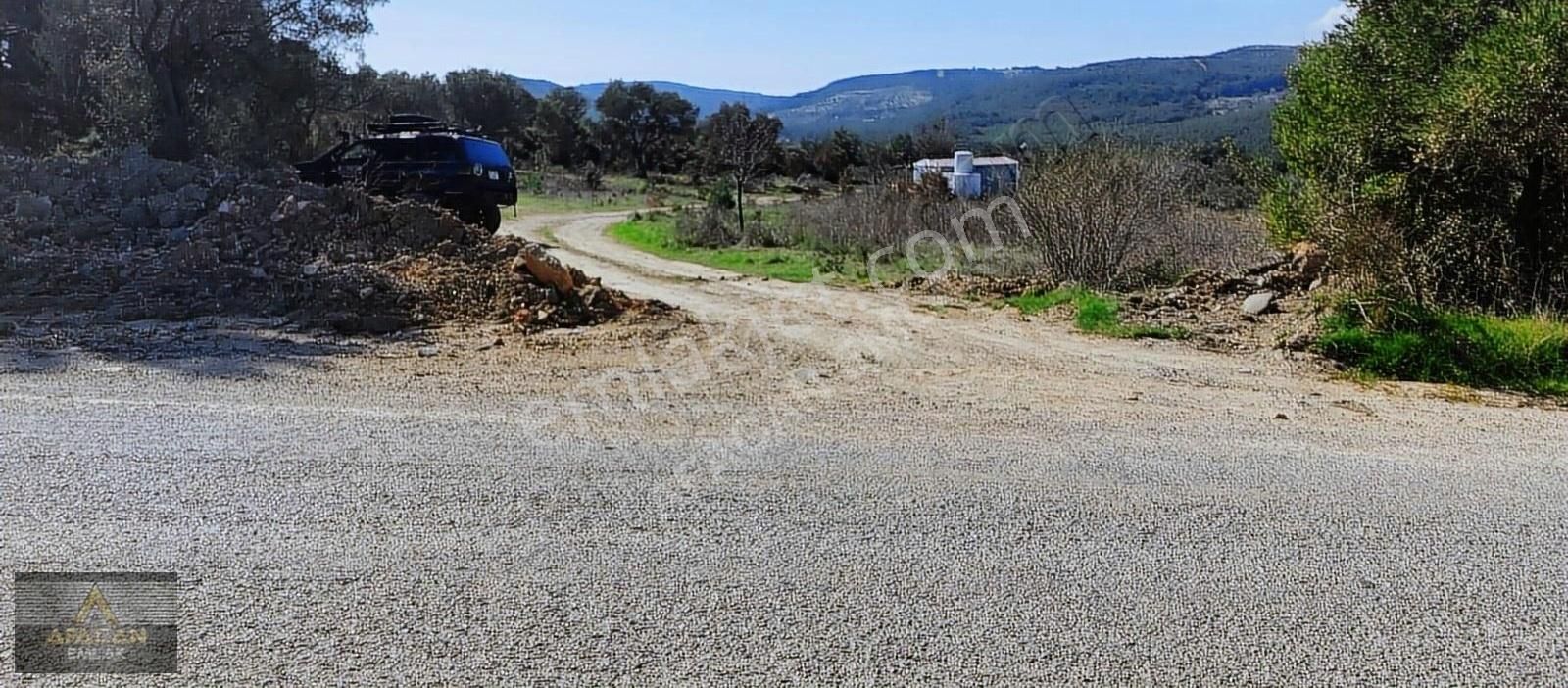 Bergama Koyuneli Satılık Tarla AFACAN dan Koyuneli de Asfalta Sıfır Satılık Arazi