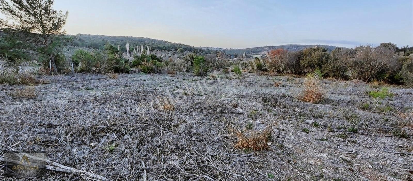 Bergama Örlemiş Satılık Tarla AFACAN dan Örlemiş te Asfalt Yakını Satılık Arazi