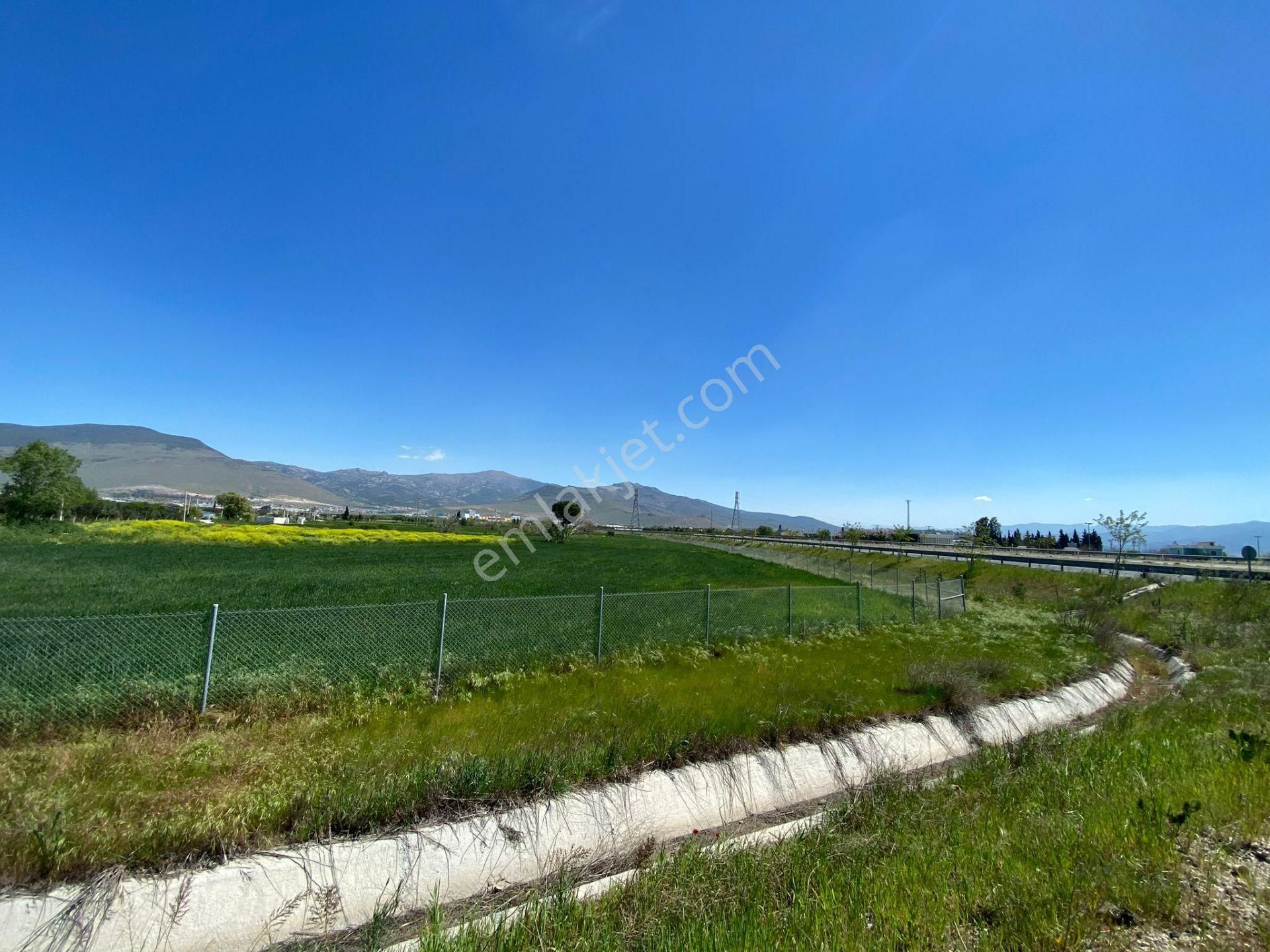 İzmir Menemen Foça Yolu Üzerinde Her Amaca Uygun Tarla - Görsel 19