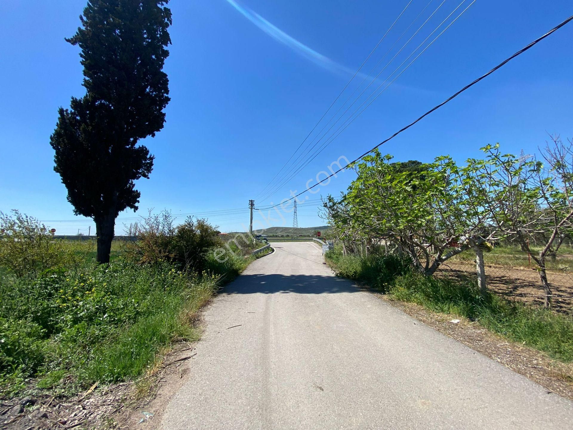 İzmir Menemen Foça Yolu Üzerinde Her Amaca Uygun Tarla - Görsel 4