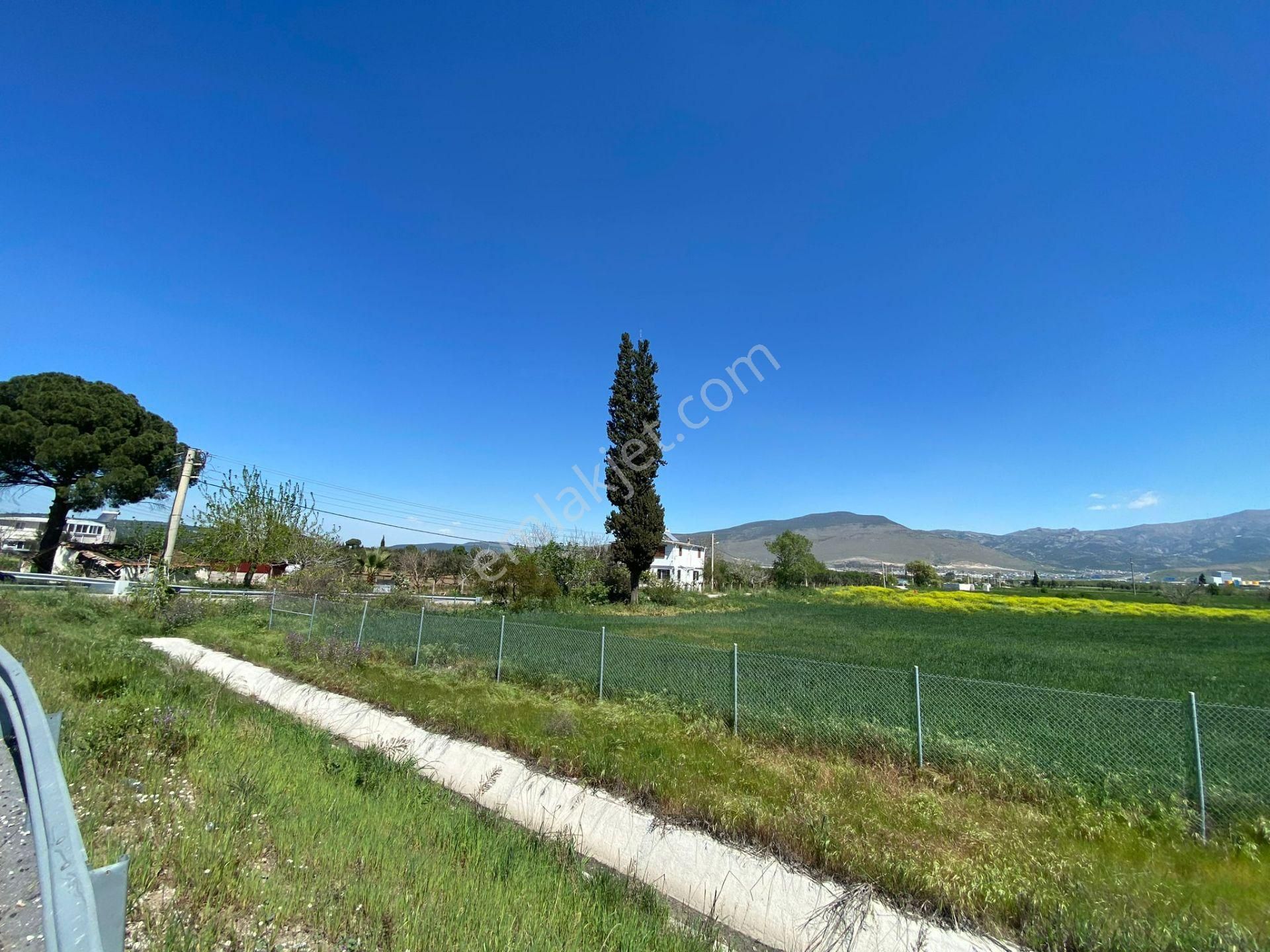 İzmir Menemen Foça Yolu Üzerinde Her Amaca Uygun Tarla - Görsel 11