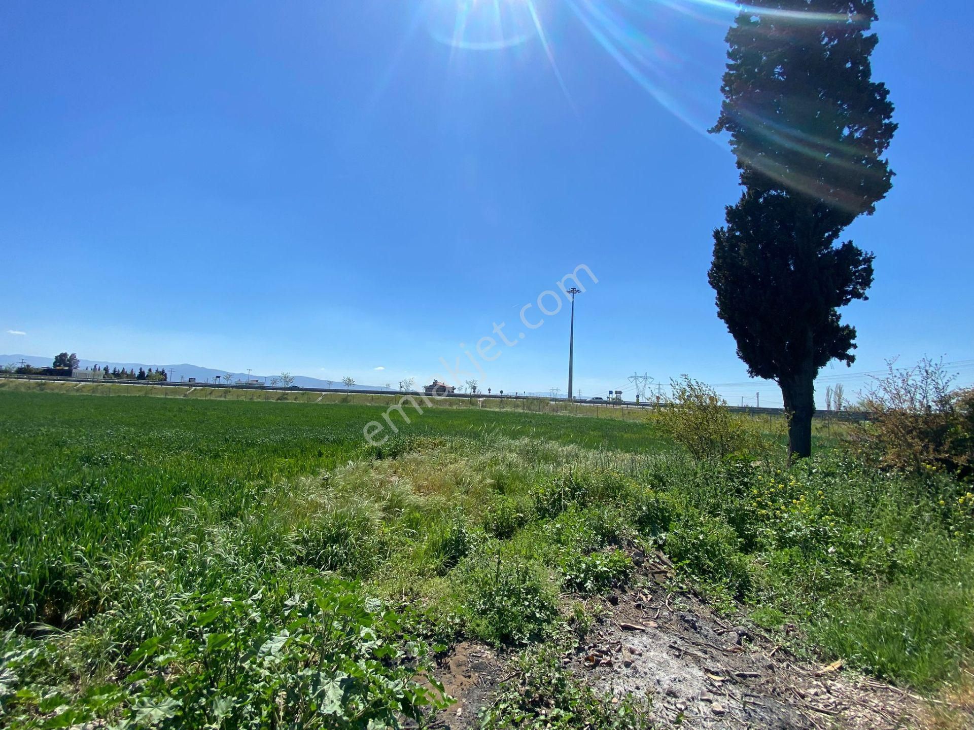 İzmir Menemen Foça Yolu Üzerinde Her Amaca Uygun Tarla - Görsel 3