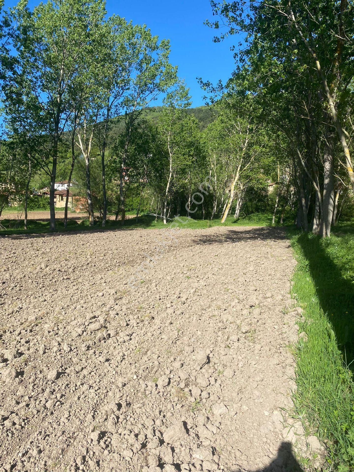 İmarlı Tapu - Görsel 2