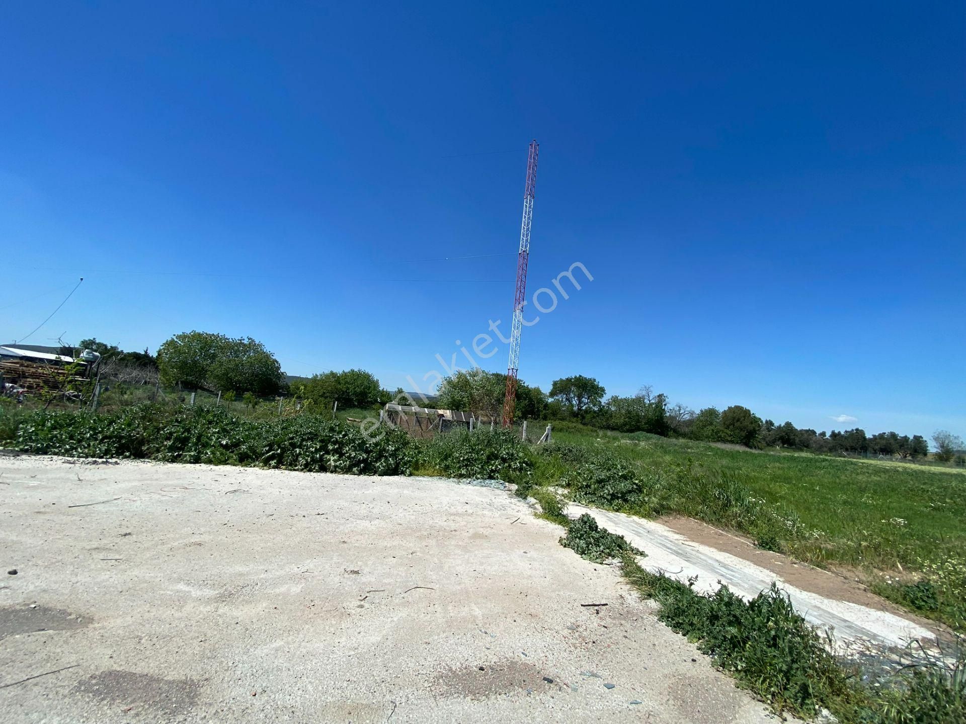 İzmir Menemen Foça Yolu Üzerinde Satılık Paylı Mülkiyet'li Bahçe - Görsel 13