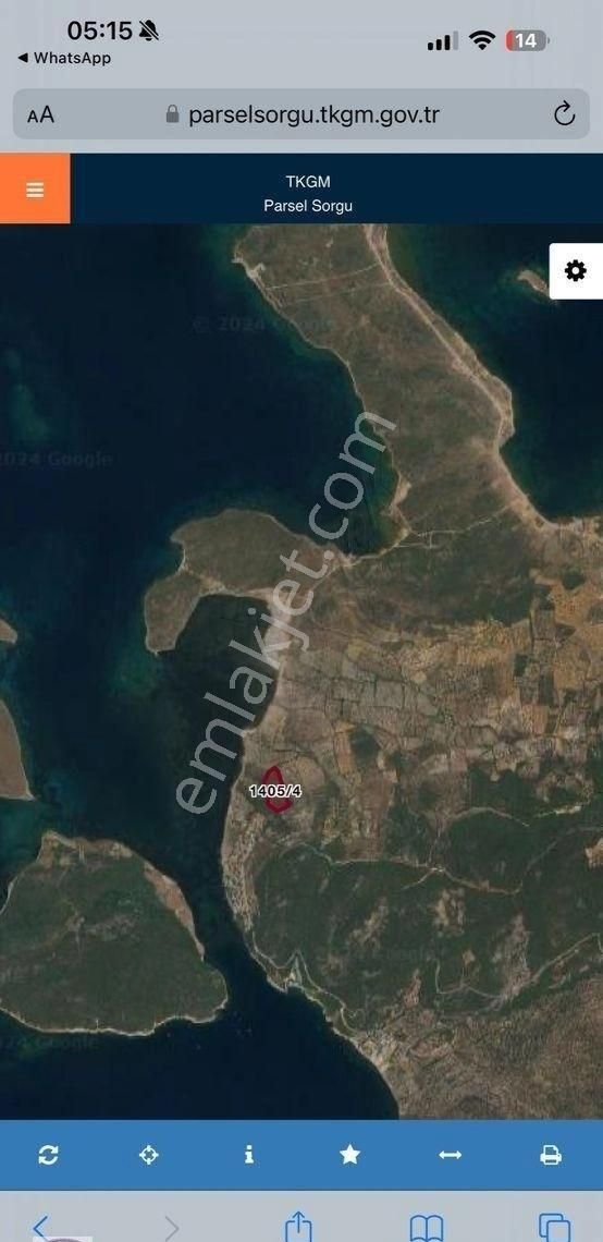 Ayvalık Cunda Denize Yakın Dalyan Mevki Zeytinlik - Görsel 8