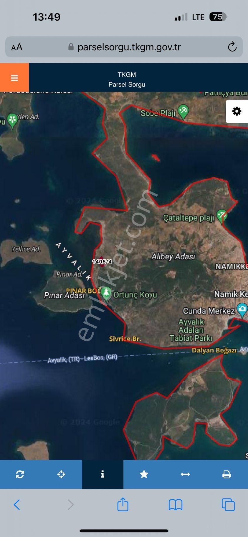 Ayvalık Cunda Denize Yakın Dalyan Mevki Zeytinlik - Görsel 11