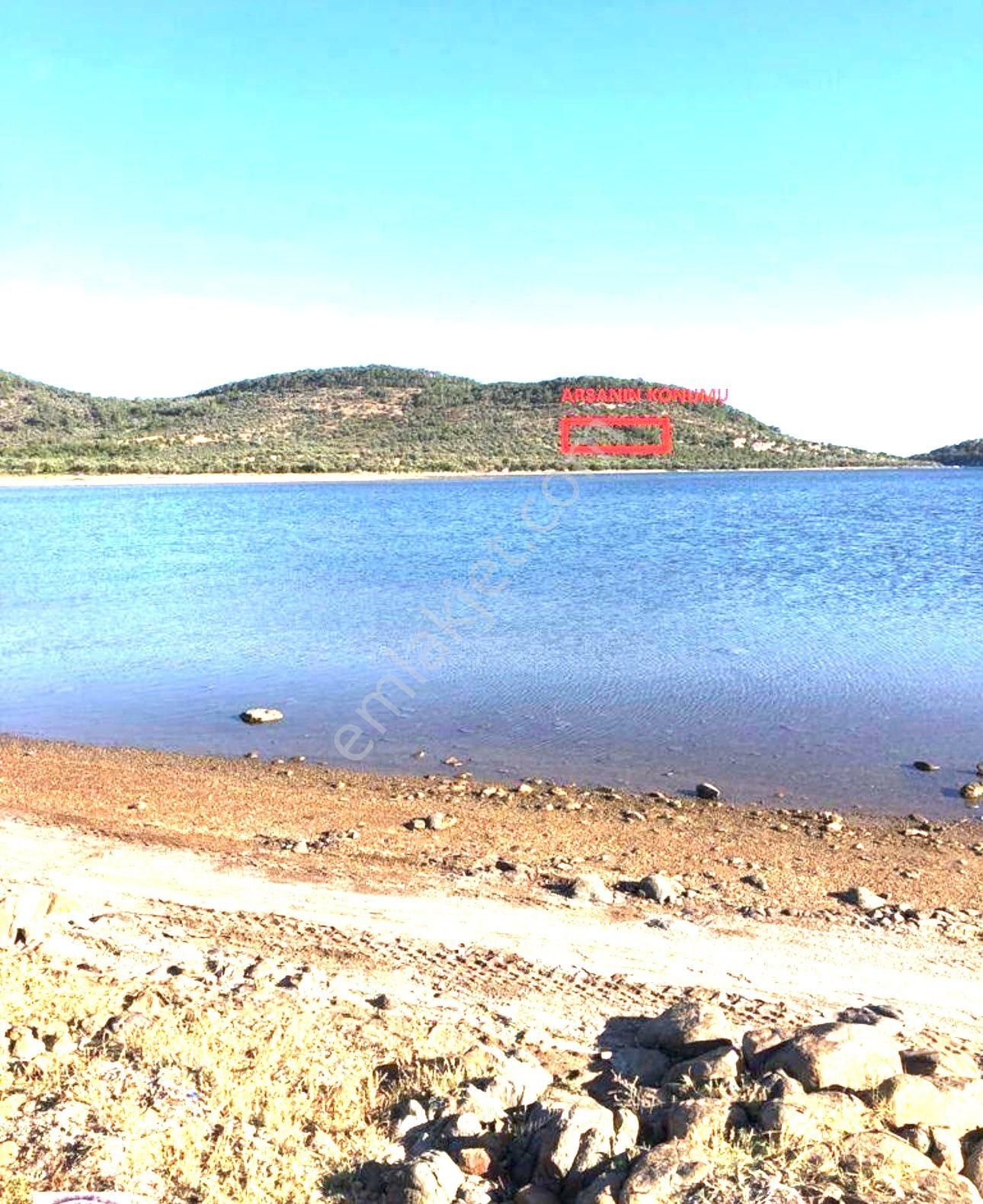 Ayvalık Cunda Denize Yakın Dalyan Mevki Zeytinlik - Görsel 2