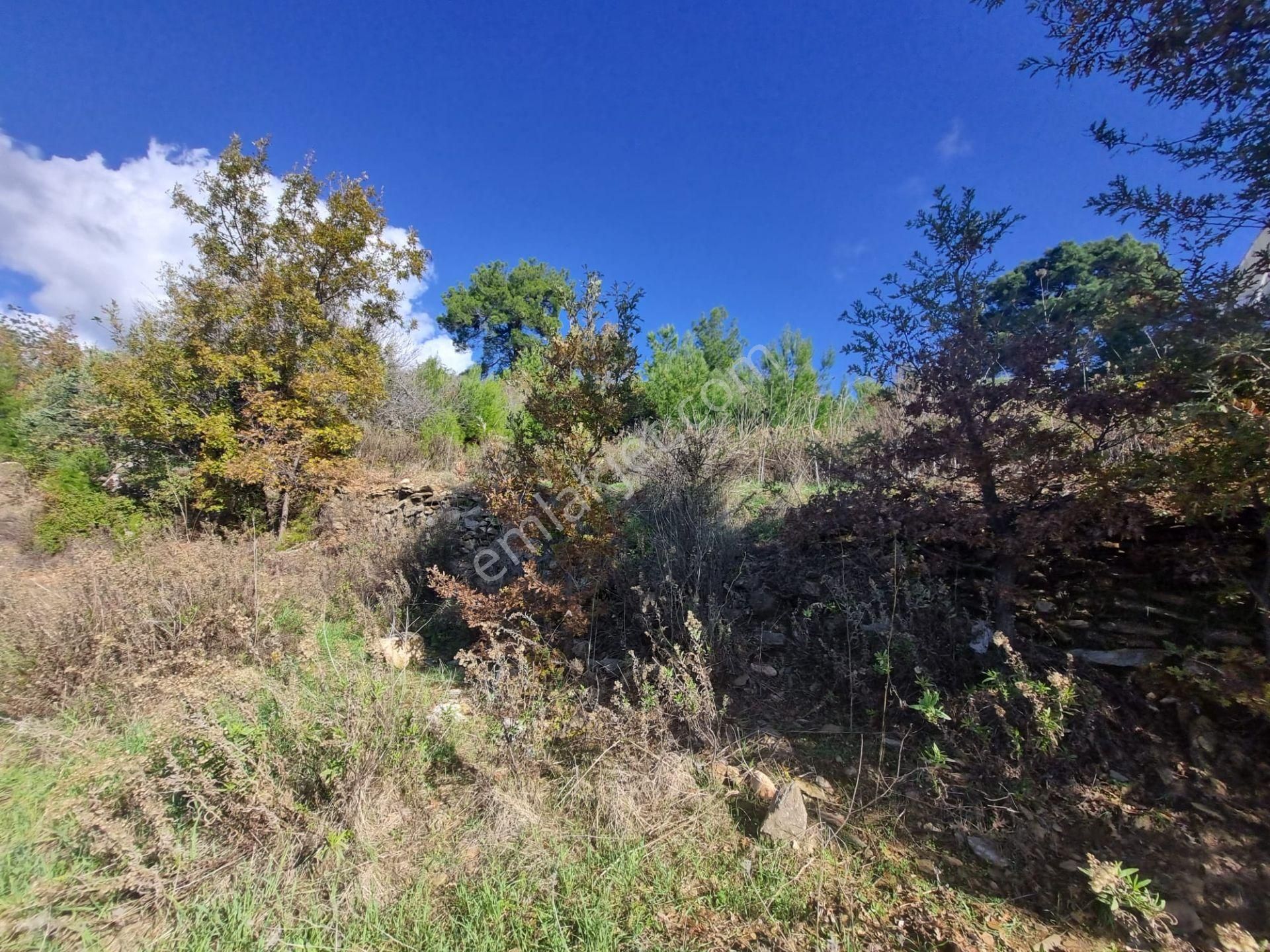 Aliefendi Mahallesinde Ful Deniz Manzaralı Satılık 4300 M2 Müstakil Tapu Tarla - Görsel 19