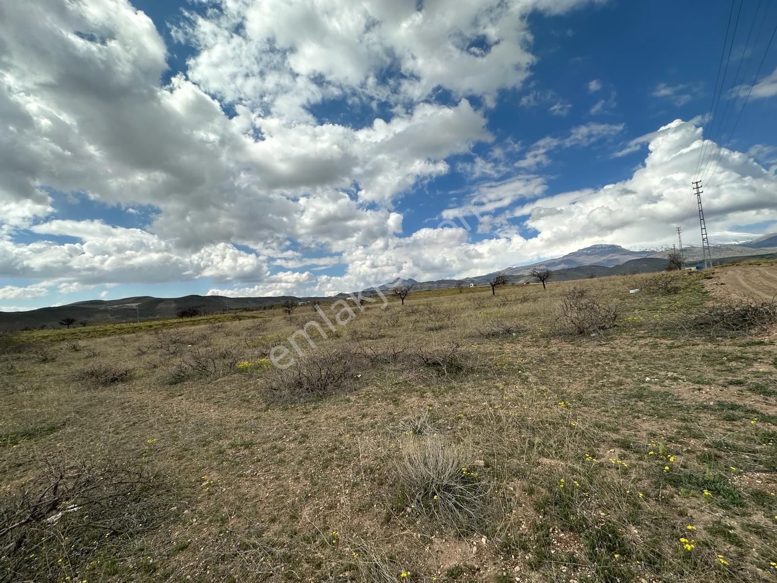 Öz Gaye Emlaktan Develi Reşadiye Mahallesi Güzelce Mevkiinde 6076 M2 Satılık Bağ Yeri - Görsel 6