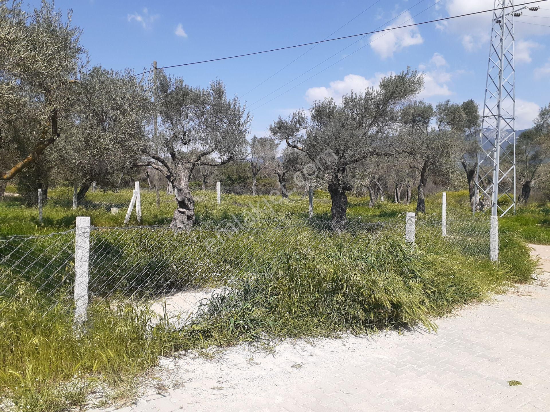 İzmir Torbalı Çakırbeylide Satılık Arsa - Görsel 11