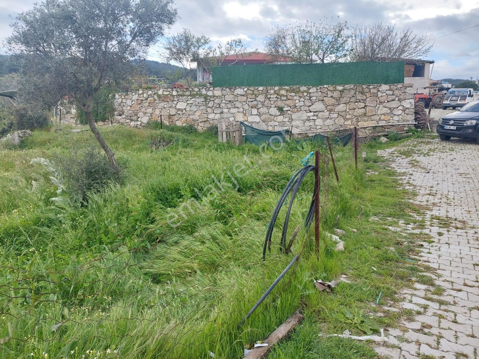 Milas Çamlıyurt Satılık Tarla Milasta satılık köy içi imarlı arsa