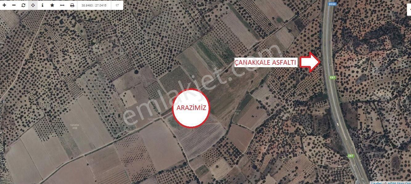 Bergama Zeytindağ Satılık Tarla  AFACAN dan Zeytindağ Limanda Satılık Ucuz Kıymetli Arazi