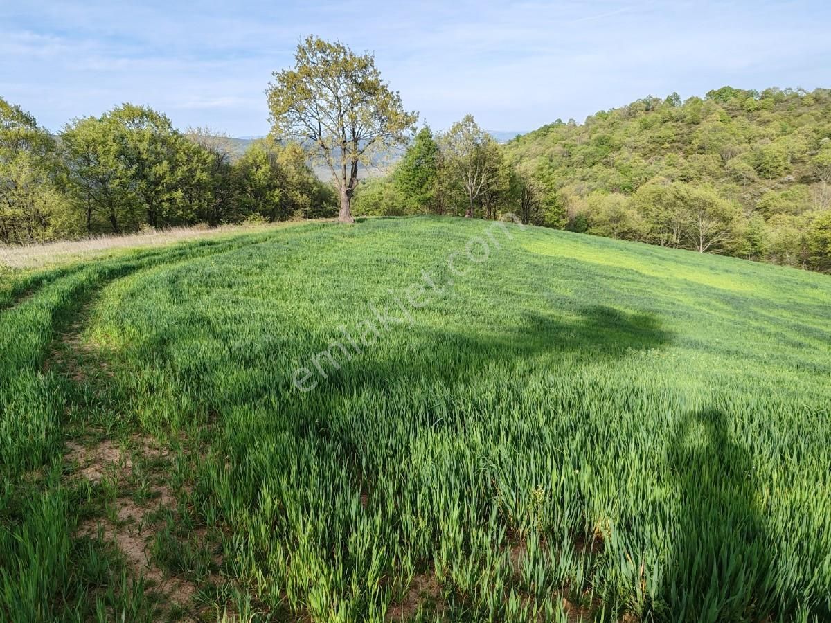 Gönen Şaroluk Satılık Tarla 4.322 M2 Gönen Yatırımlık Tarla Bağ Bahçe Hobi Bahçesi Orman Var