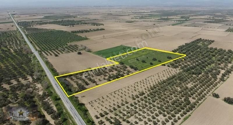 Kınık Hamzahocalı Satılık Tarla TANBERK DEN HAMZAHOCALI BÖLCEK YOLUNA SIFIR 18.499 M2 TARLA