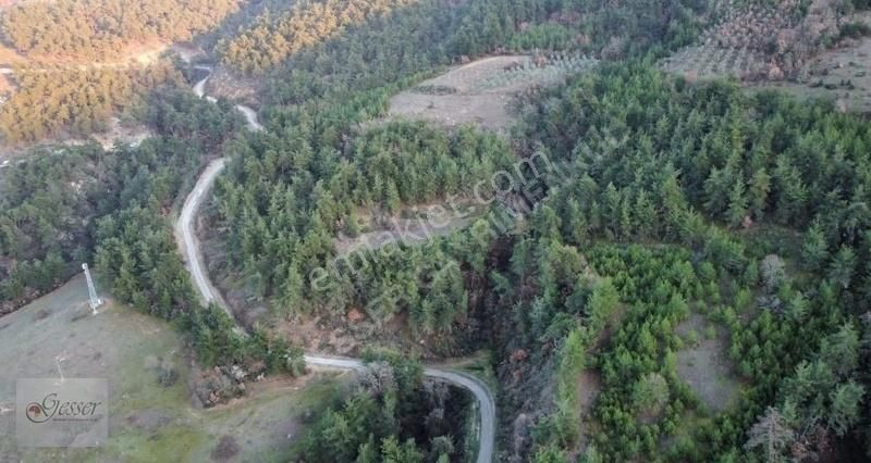 Osmaneli Dereyörük Köyü Satılık Tarla BİLECİK OSMANELİ'DE KÖYE YAKIN YATIRIMLIK SATILIK TARLA