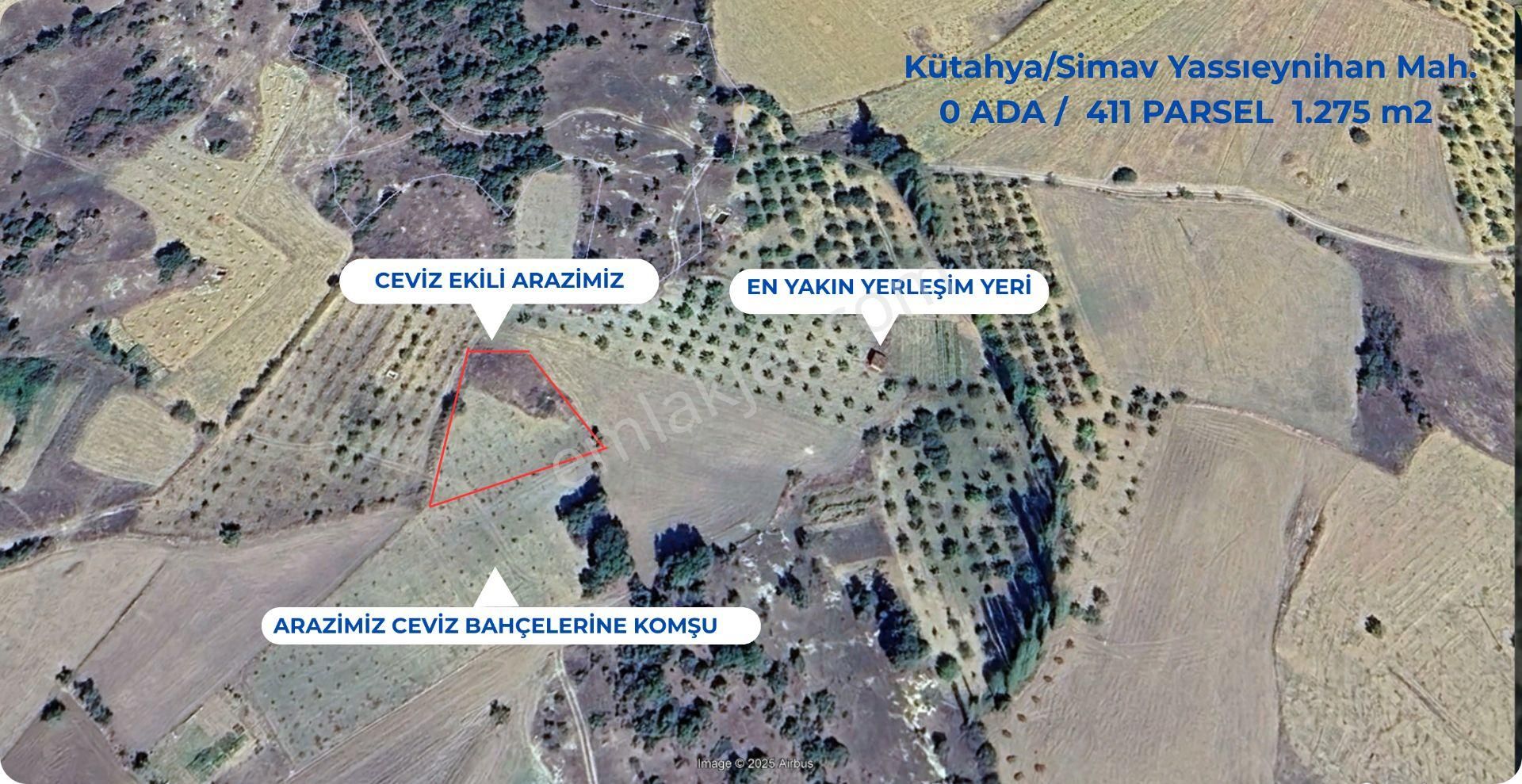 Kütahya Simav 1.275 M2 Düz Yerleşim İçinde Fırsat Ceviz Bahçesi
