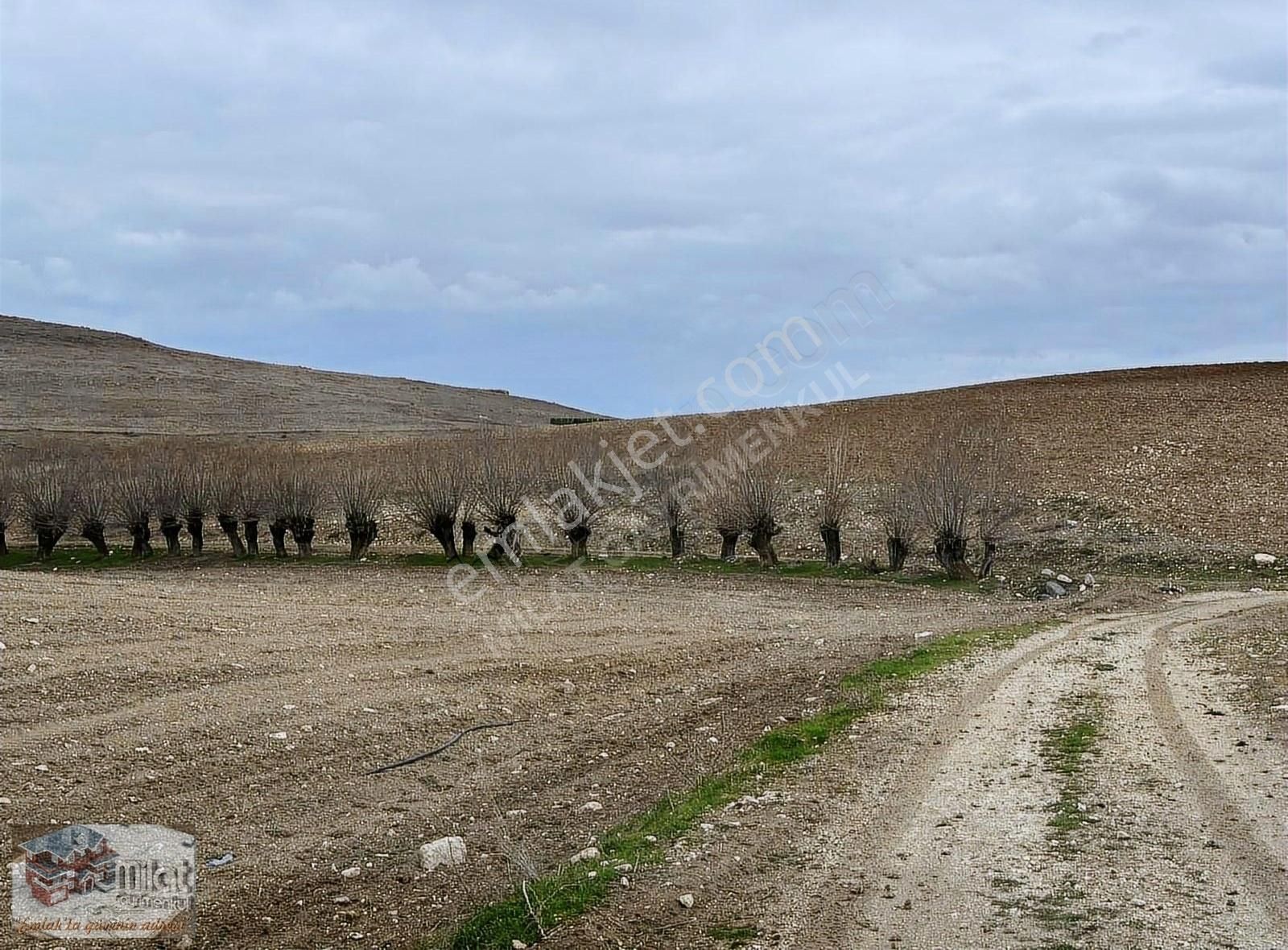 Bağlar Batıçanakçı Satılık Bağ & Bahçe HAVALİMANI VE İMAR YAKINI BAĞLAR DA HİSSE