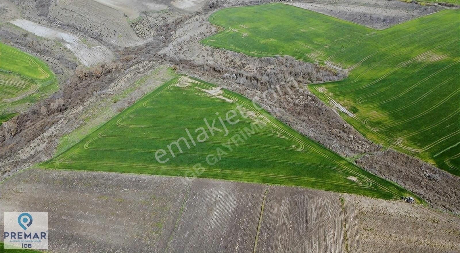 Çatalca Bahşayiş Satılık Tarla PREMAR'DAN ÇATALCA BAHŞAYİŞ MAHALLESİ SATILIK TEK TAPU 20 DÖNÜM