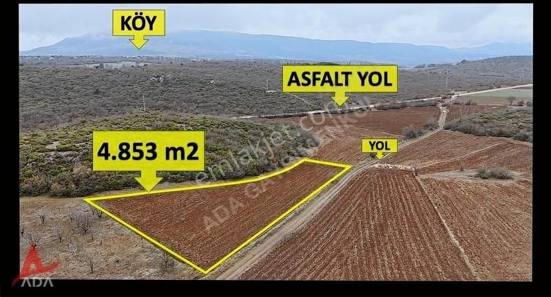 Gölpazarı Keskin Köyü Satılık Tarla Ada'dan Gölpazarı Merkeze Çok Yakın Keskin Köyünde Tarla