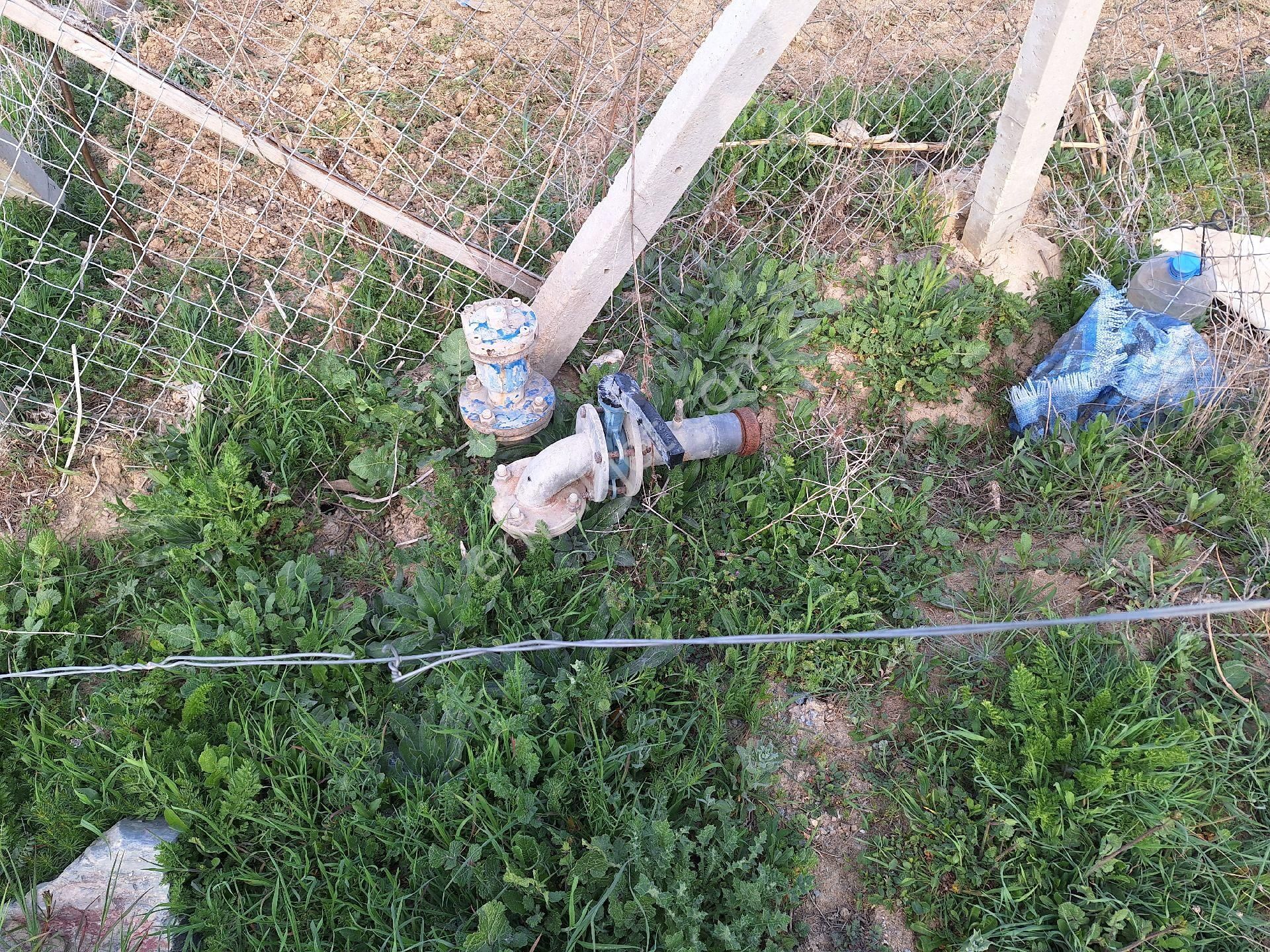 Daglı Emlaktan Dogrugoz Mahallesinde - Görsel 3