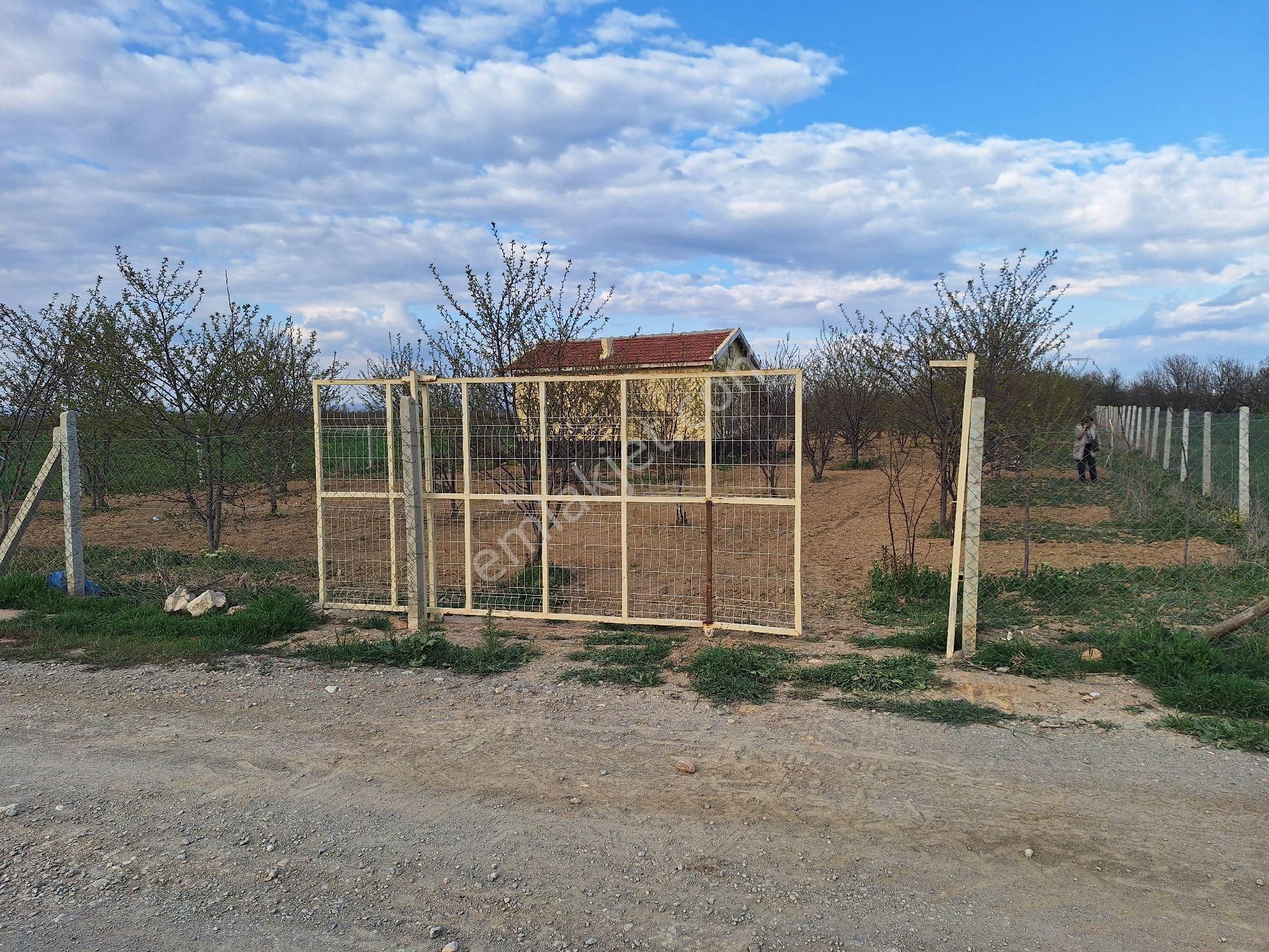 Daglı Emlaktan Dogrugoz Mahallesinde - Görsel 4