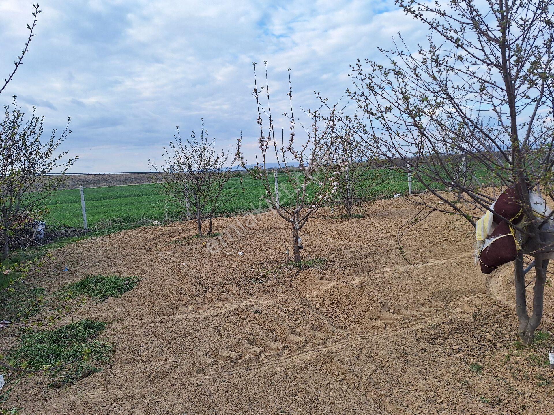 Daglı Emlaktan Dogrugoz Mahallesinde - Görsel 22