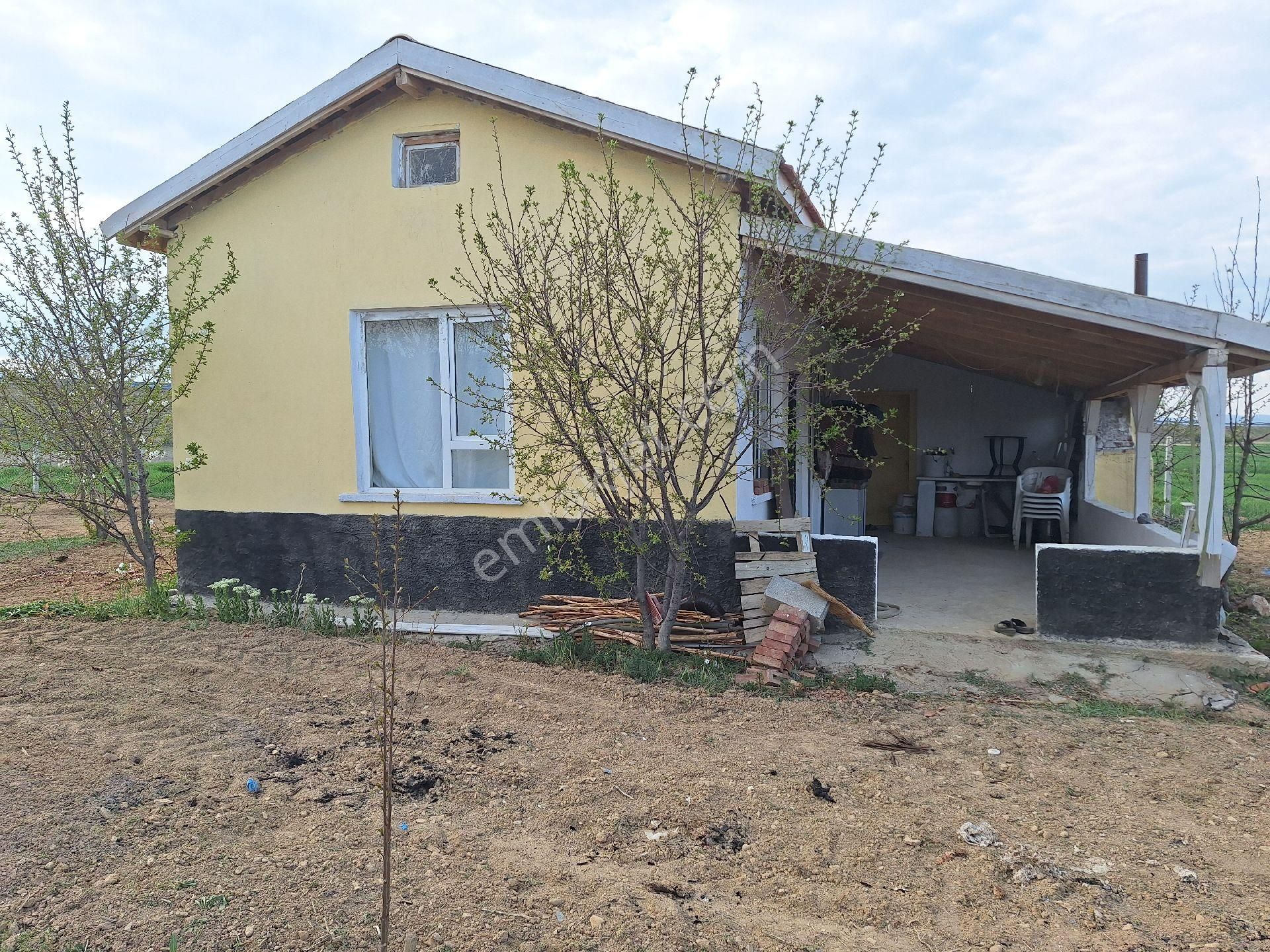 Daglı Emlaktan Dogrugoz Mahallesinde - Görsel 9