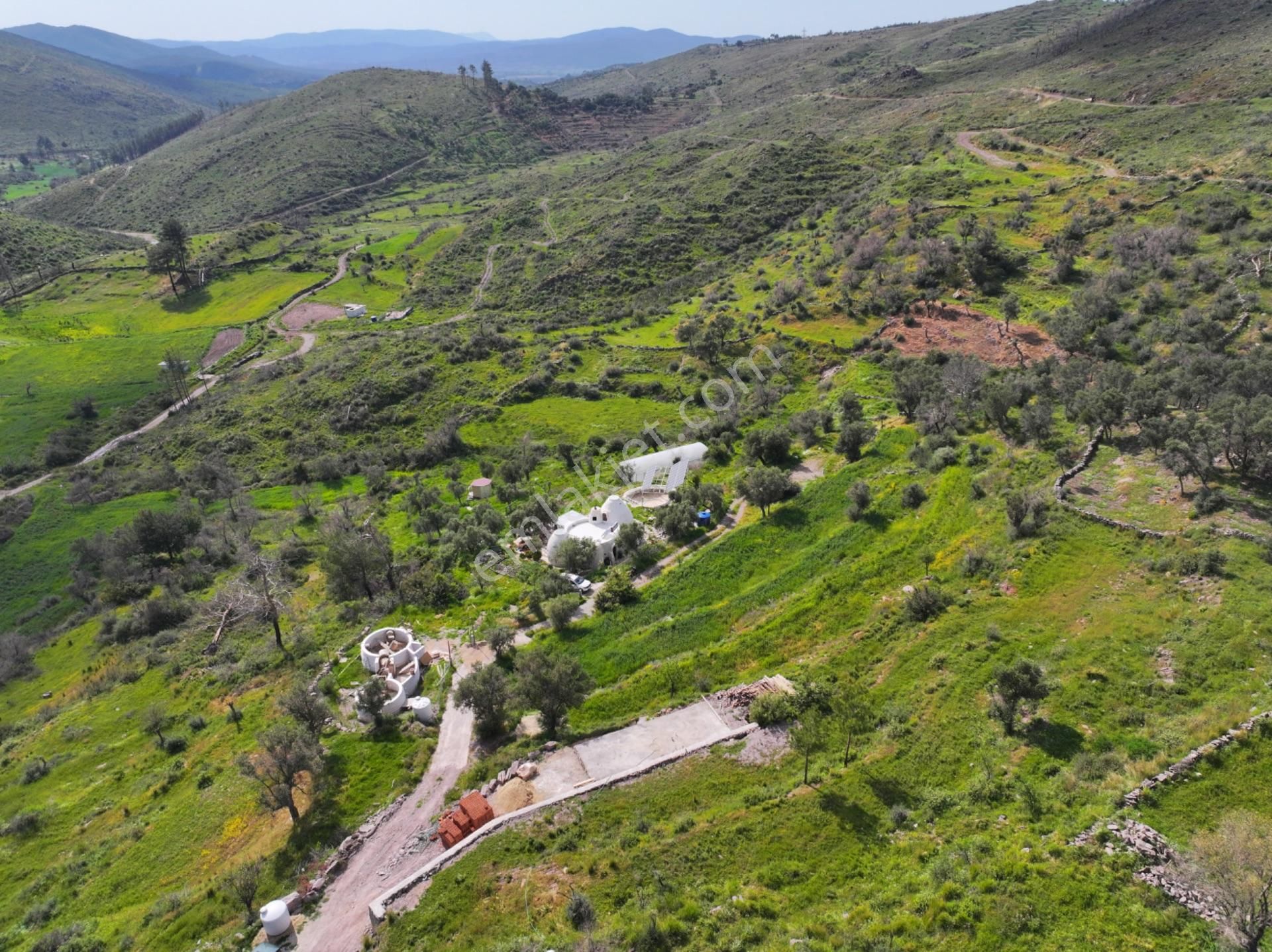 Bodrum Gökpınar Satılık Zeytinlik  Bodruma 30Km Mesafede Yatırımlık Tarla