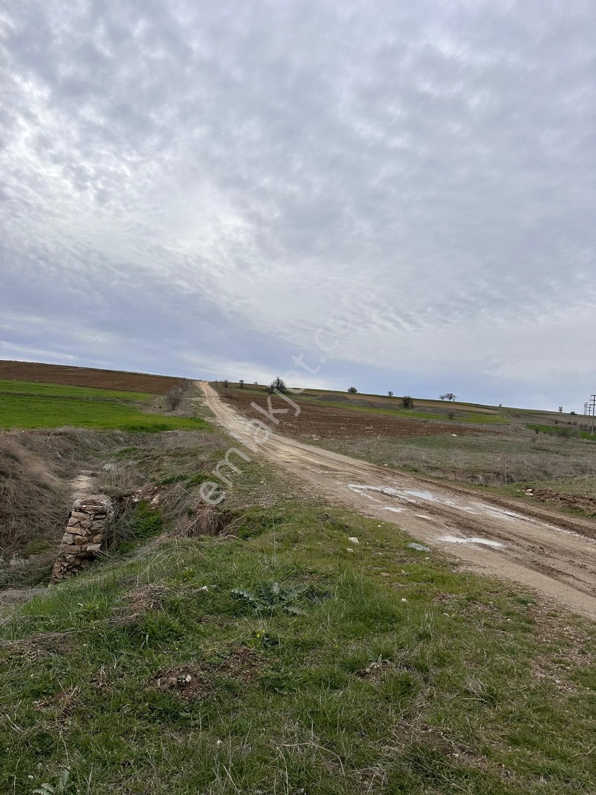 Bozüyük Poyra Köyü (Poyra Mücavir Dışı) Satılık Tarla Araç Takasına Açık 300 M2 Teli Suyu Yolu Olan Son 8 Bahçe